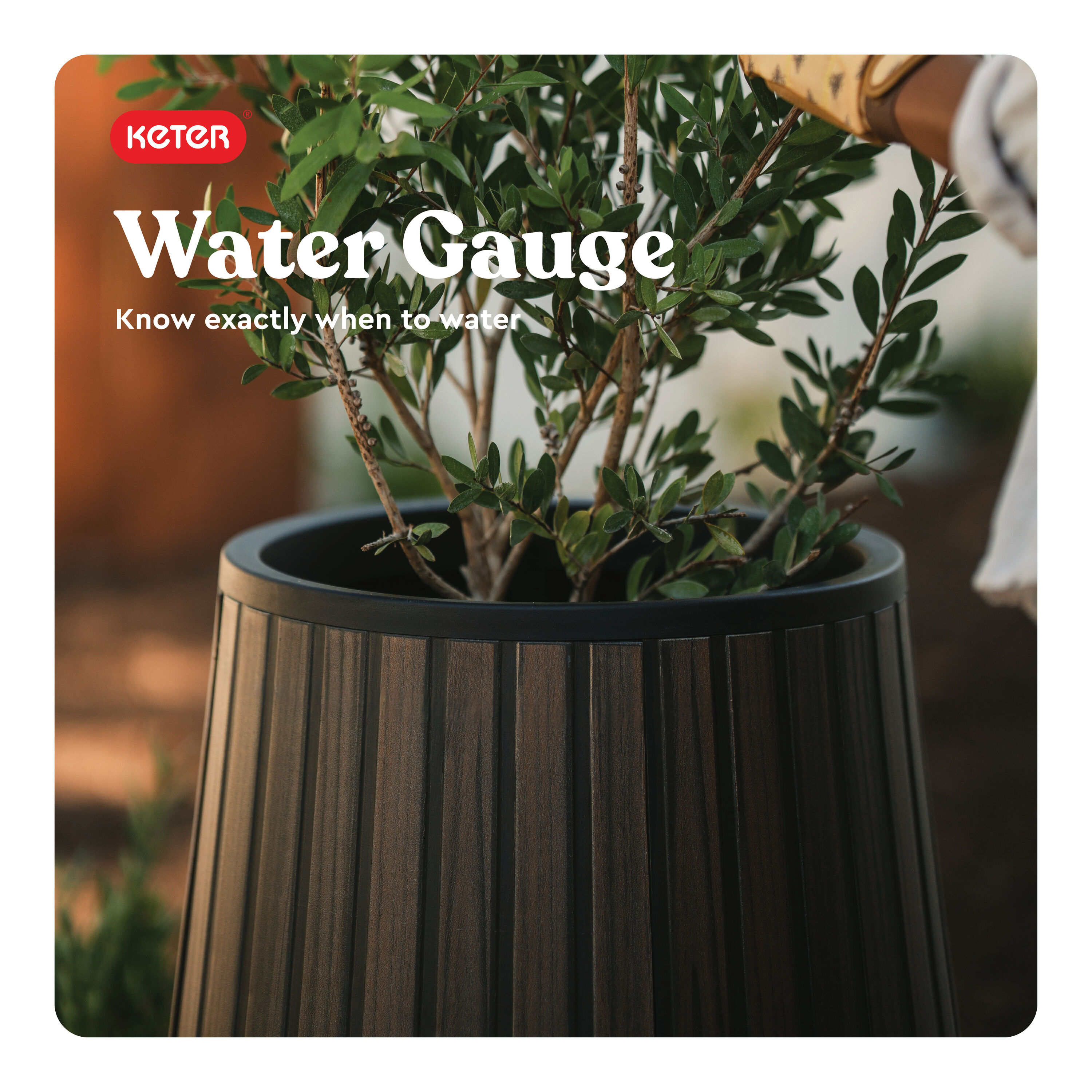 Keter 262606 Planter-Window-Box - View #7