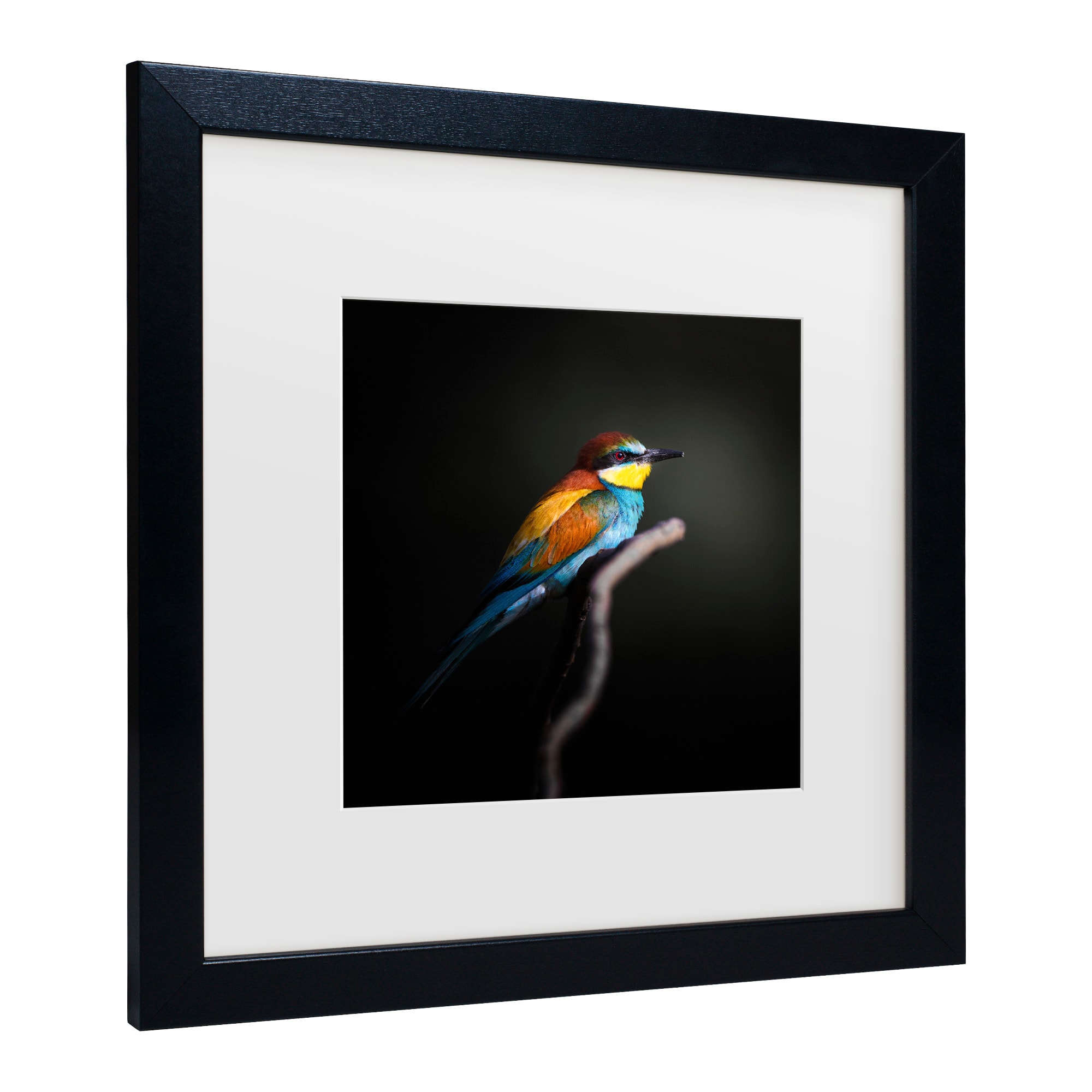 Colorful Bird Print on Canvas with Black Wood Frame
