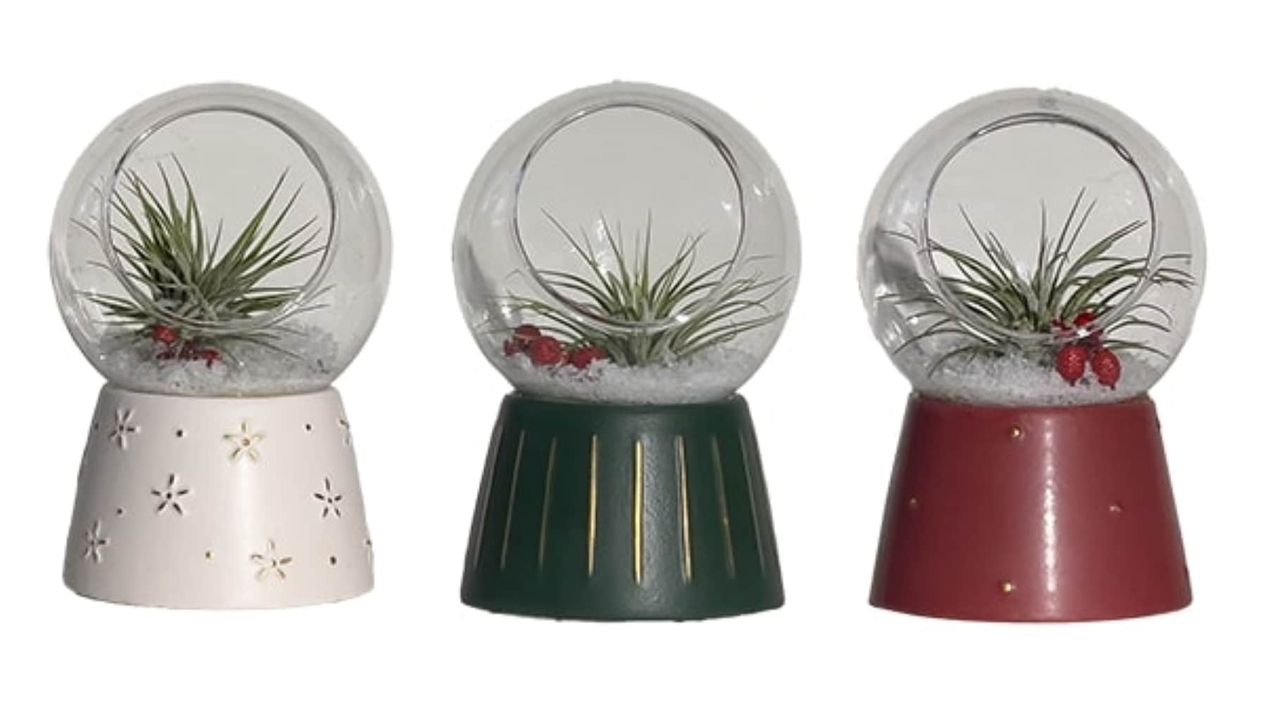 LiveTrends ASB07126 Crystal Globe House plant in 1 -Pack Terrarium 1 -Pack