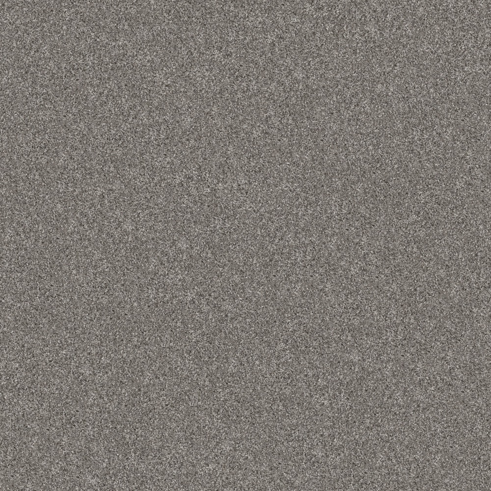 STAINMASTER 7L951-509-SAMP (Sample) 8-in x 8-in Pleasant Surprise III Vintage Gray 68.3-oz sq yard High-performance polyester Textured Indoor Carpet