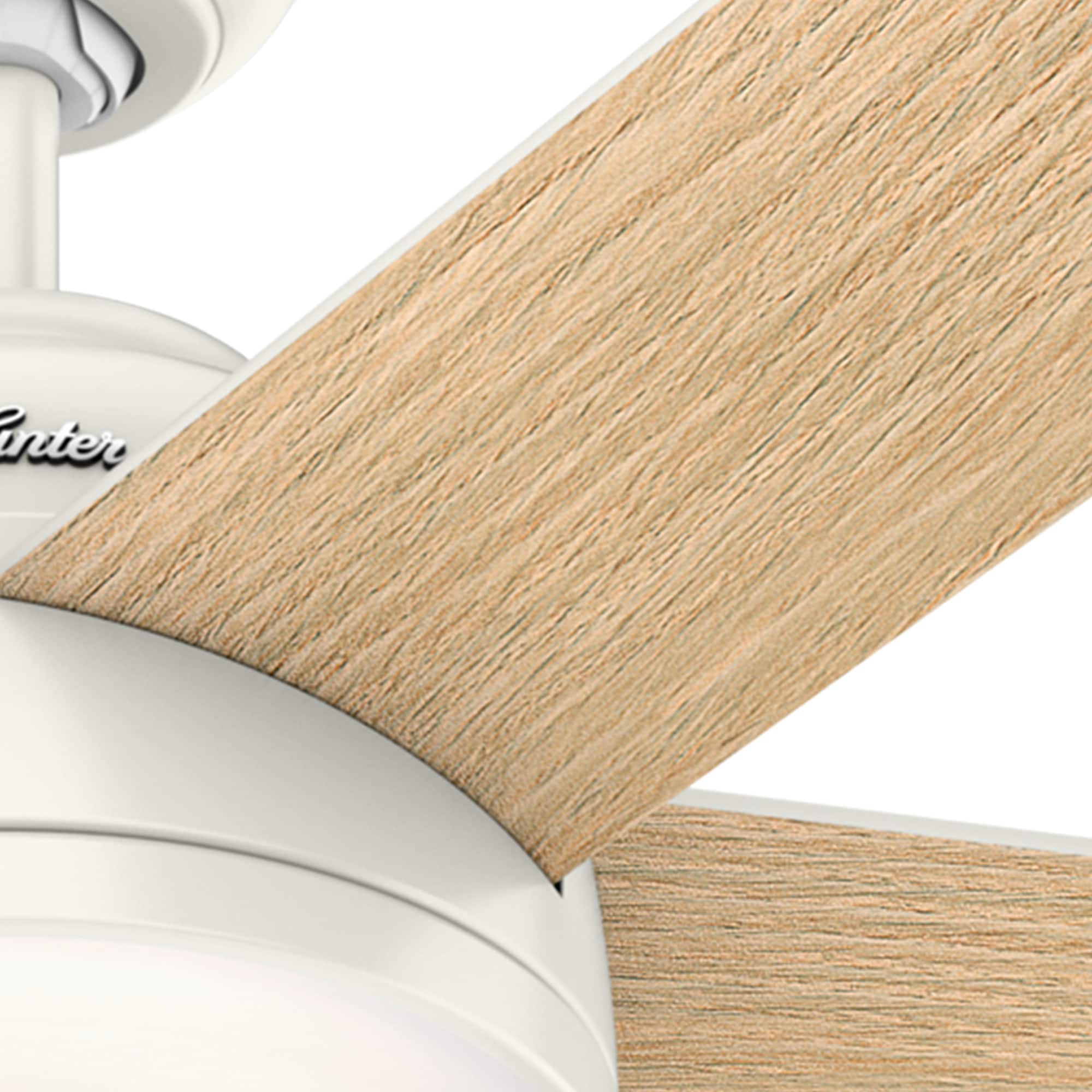 Hunter 59478 Ceiling-Fans - View #13