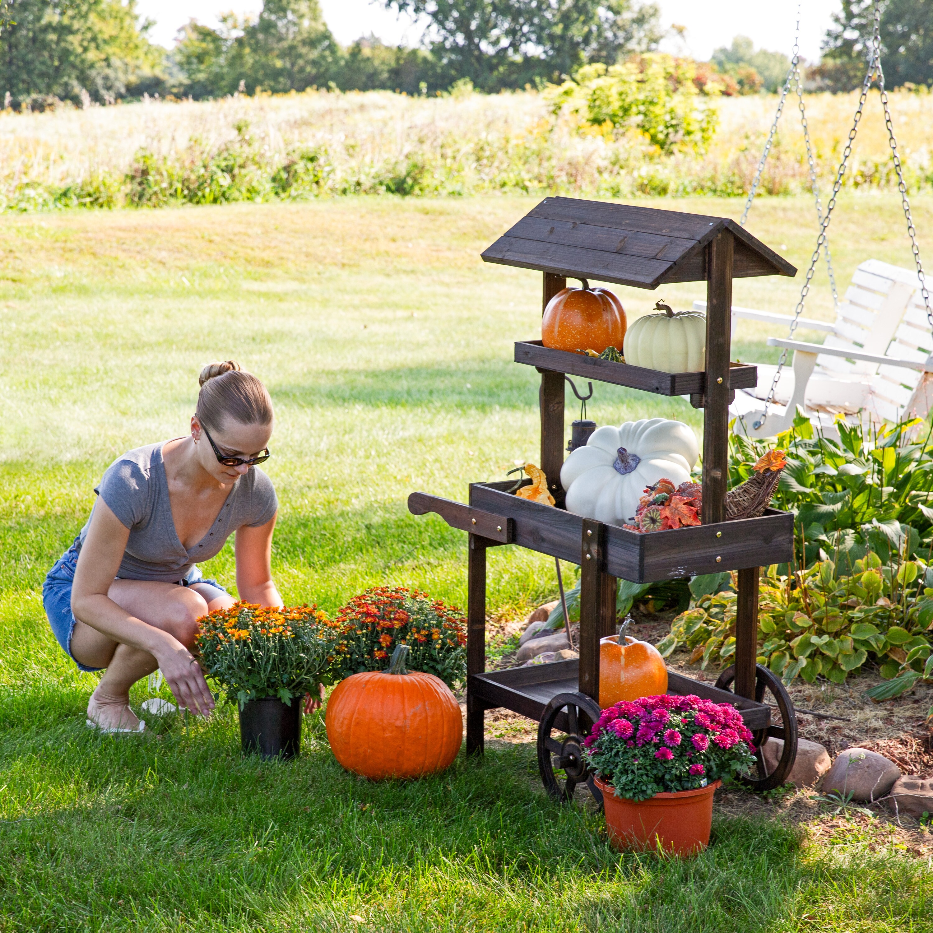 Sunnydaze Decor IEO-8271 Raised-Planter-Boxes - View #6