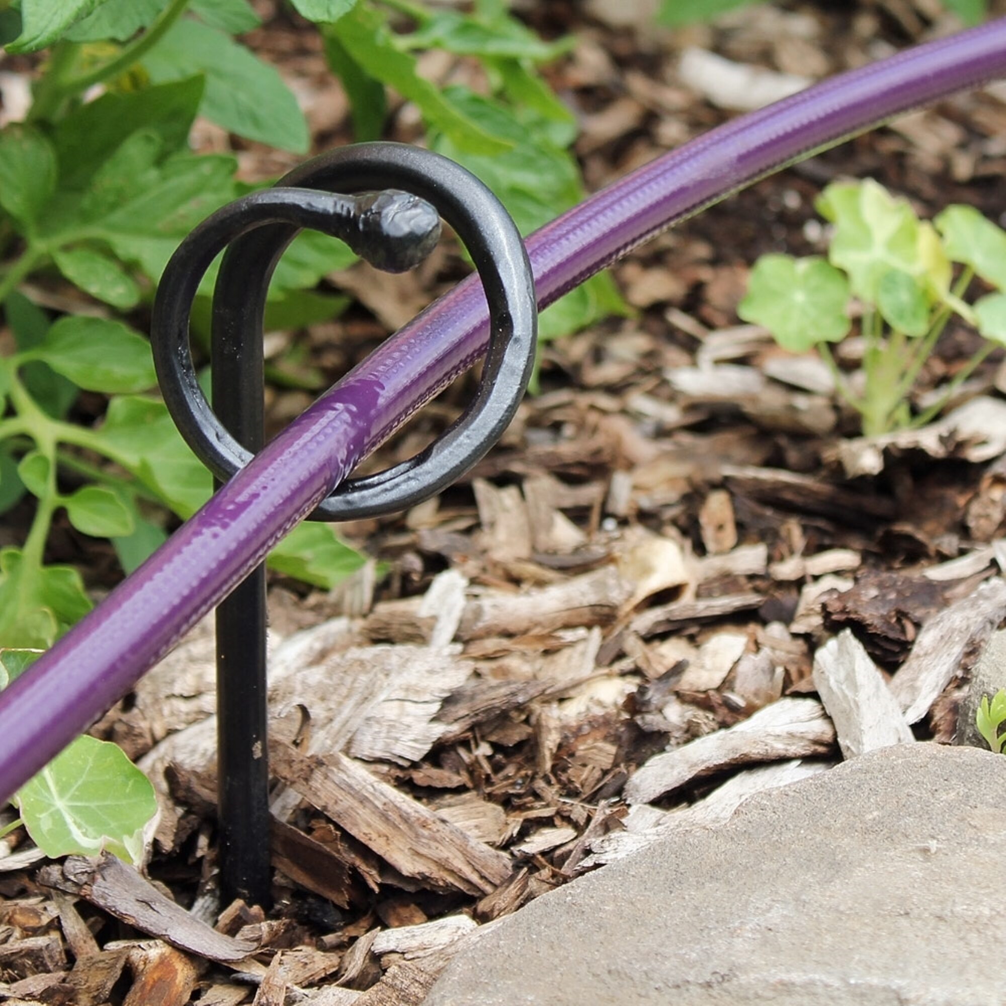 ACHLA Designs 181-1006 Winter-Plant-Protect - View #2