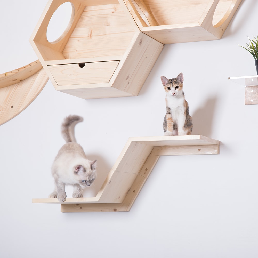 MyZoo Spruce Wood Cat Steps in the Pet Steps & Ramps department at ...