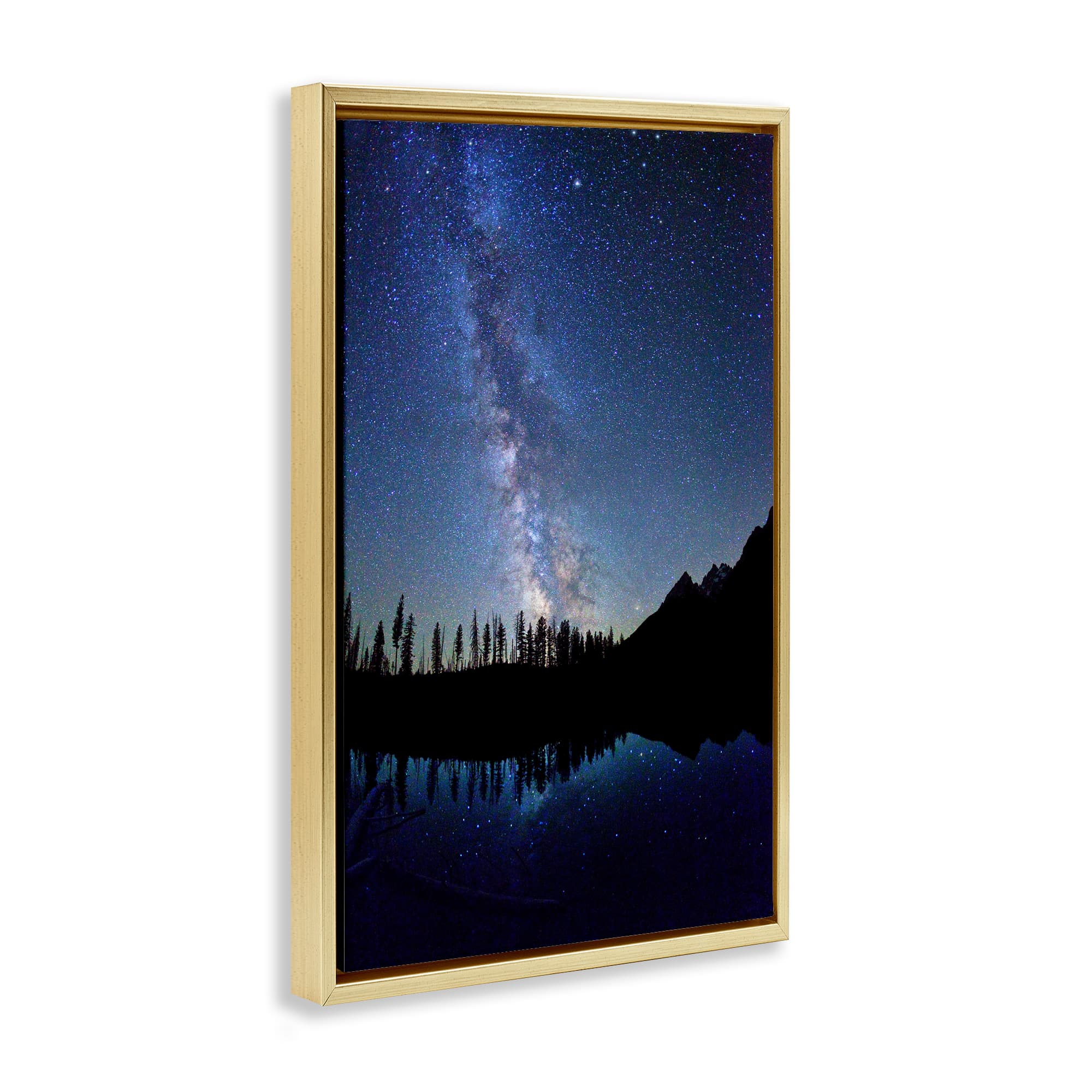 Stupell Industries BT-404-FFG-20X30 Wall-Art - View #2