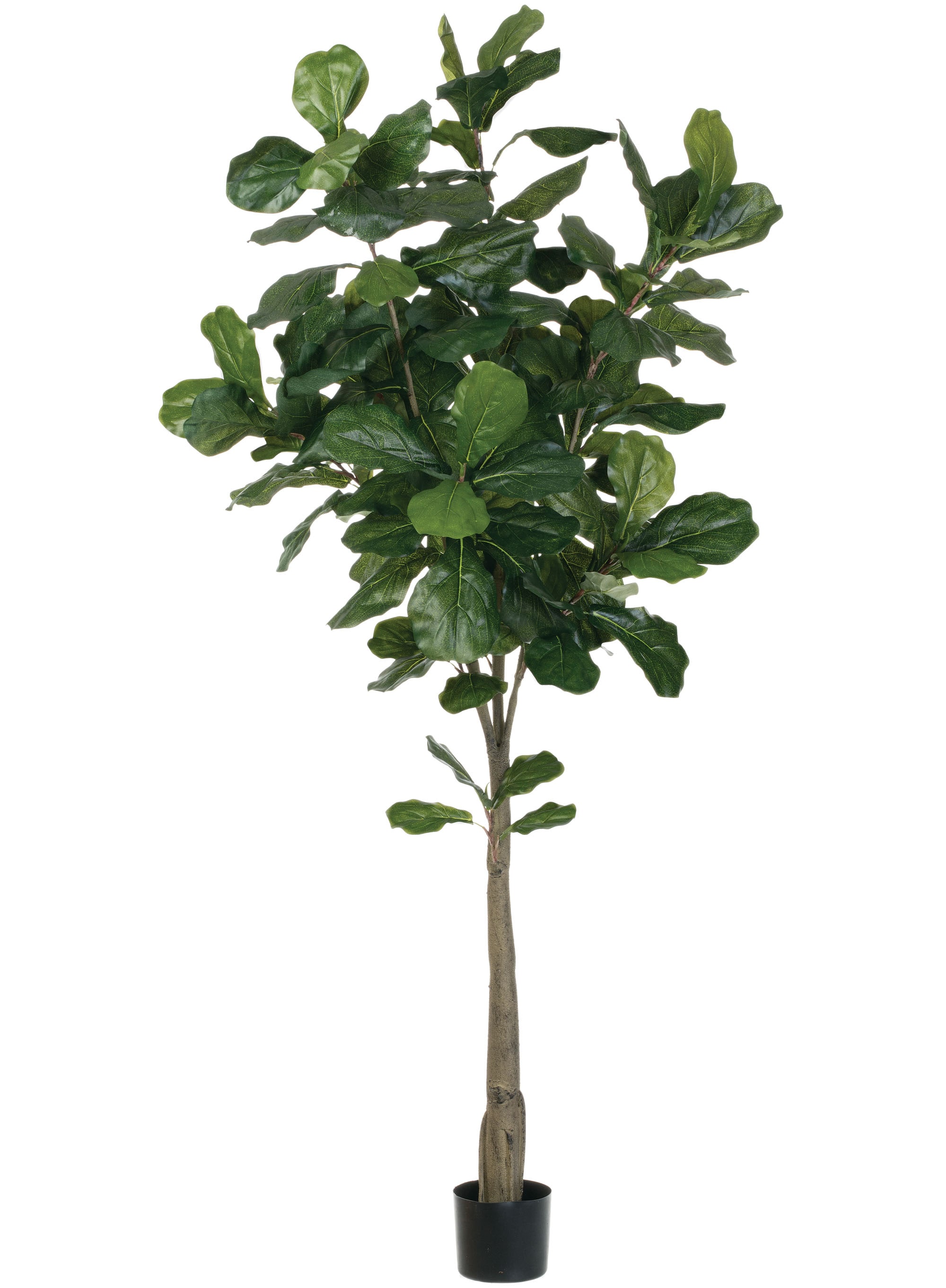 Tall Green Silk Fiddle Leaf Fig Tree in Black Pot