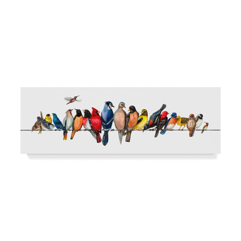 Colorful Tropical Birds on Wire Canvas Print, 8x24 Inch