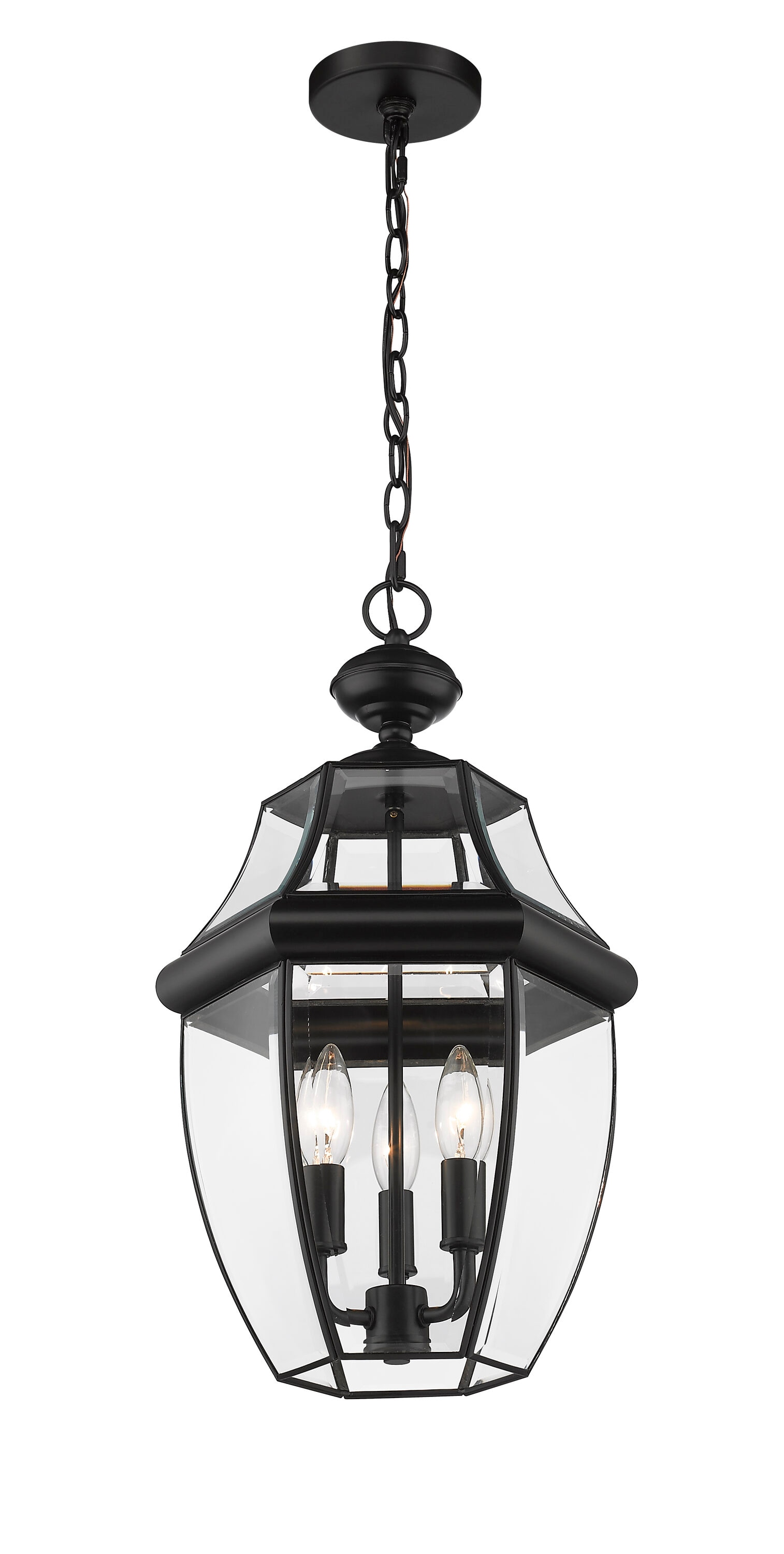 Z-Lite 580CHB-BK Pendant-Lights - View #3