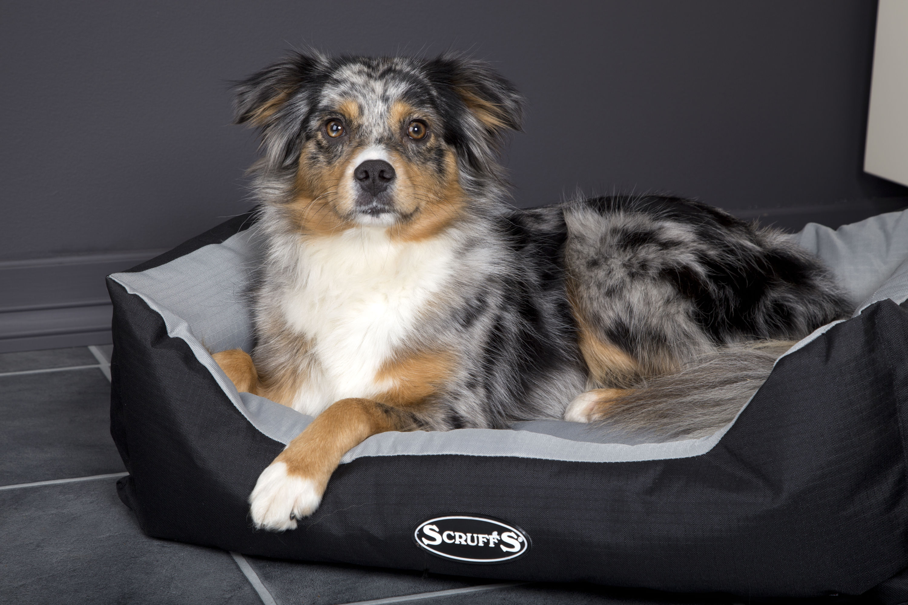 Scruffs BEDRCD677373 Pet-Beds - View #2