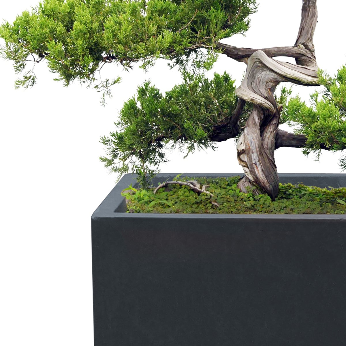 KANTE QXF0007B-C60121 Planter-Window-Box - View #3