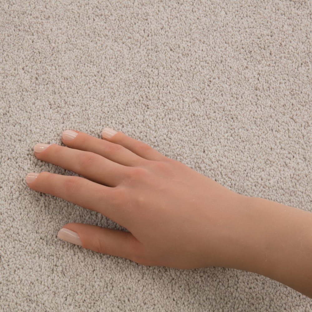 STAINMASTER PetProtect 7L972-101-SAMP Carpet-Samples - View #4