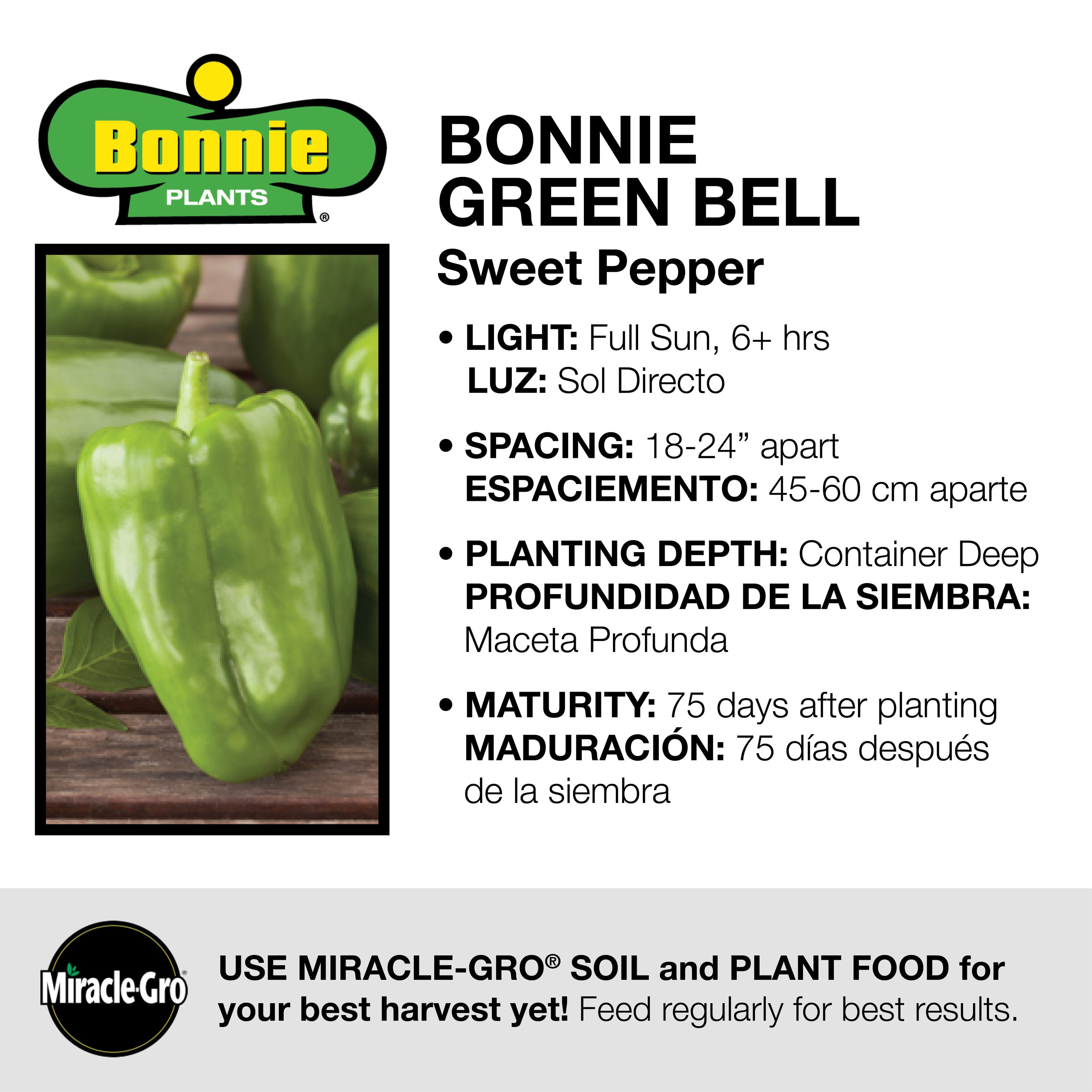 Bonnie Plants 72-in Peppers Pot Plant at