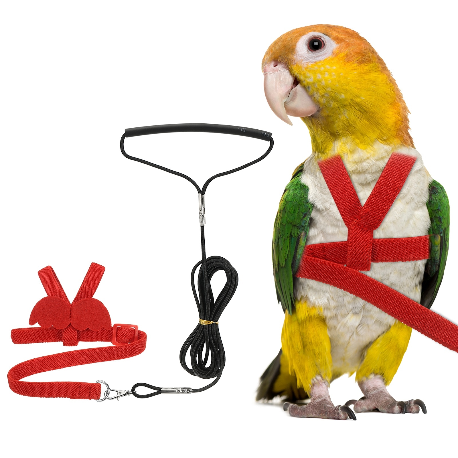 Unique Bargains Bird Harness Leash Adjustable Pet Parrot Bird Harness and Leash Lightweight Anti-Bite Flight Training Rope with Cute Wing (Red M) Intended for Parrots/Pigeons/Budgies