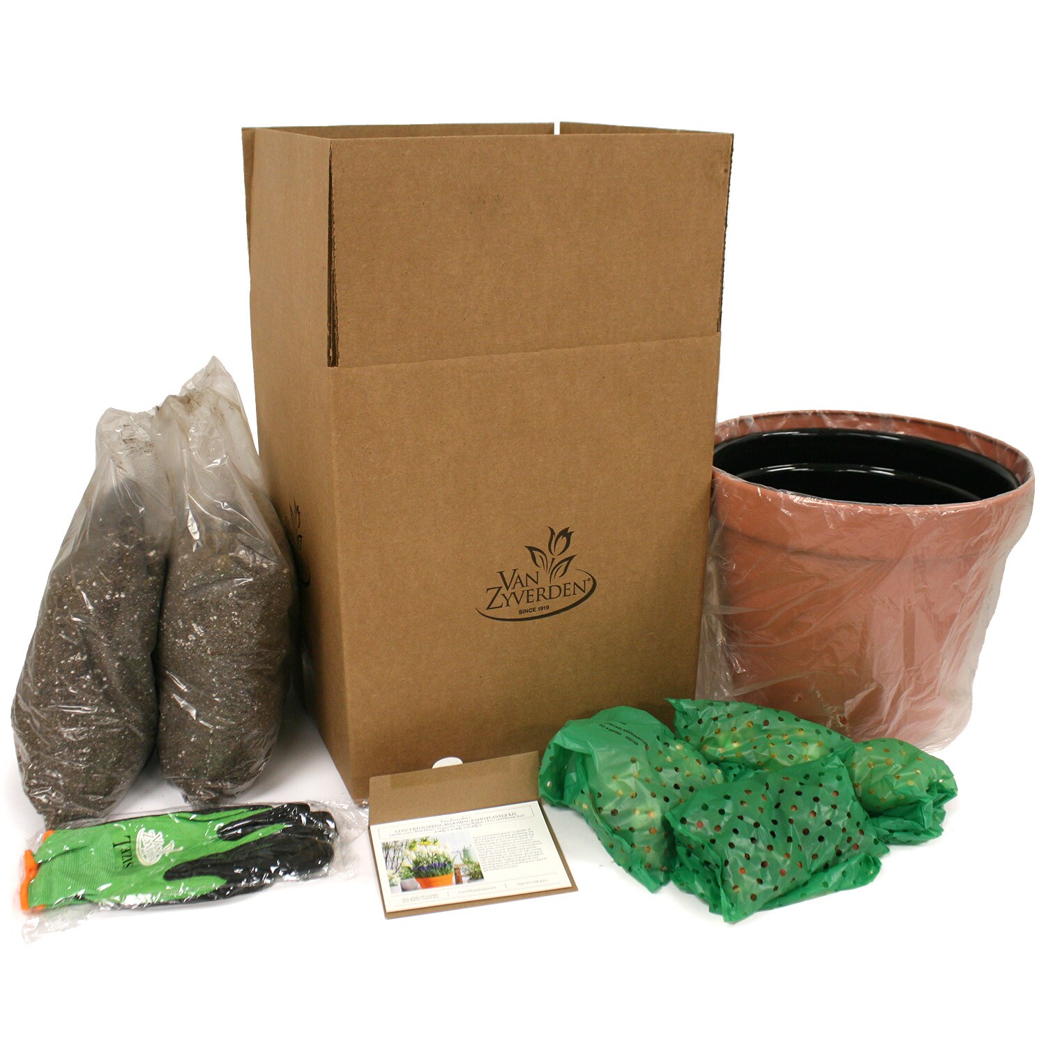 Van Zyverden 87321 Plant-Bulbs - View #5
