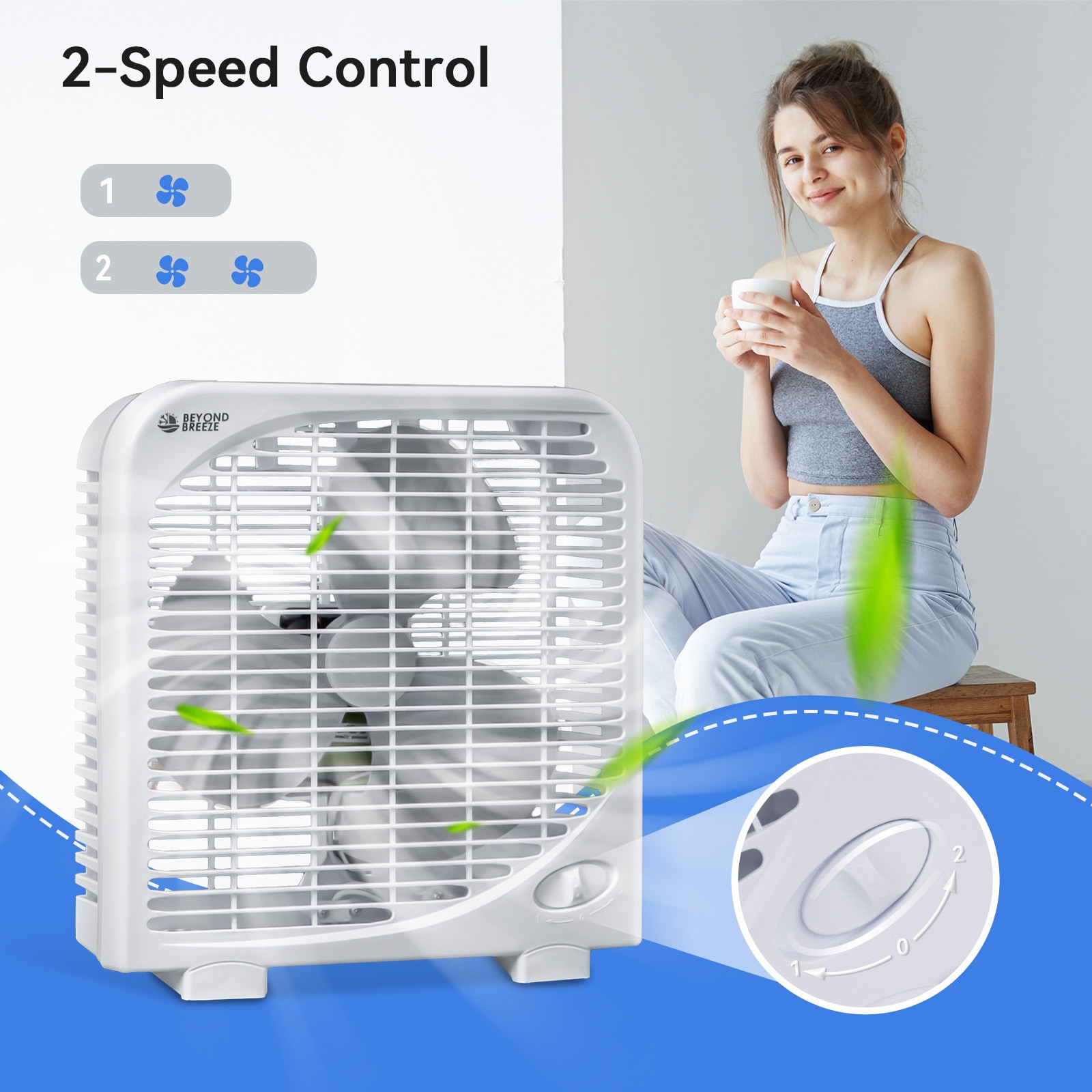 BEYOND BREEZE 9-in 120-Volt 2-Speed Indoor White Box Fan BF9 at Lowes.com