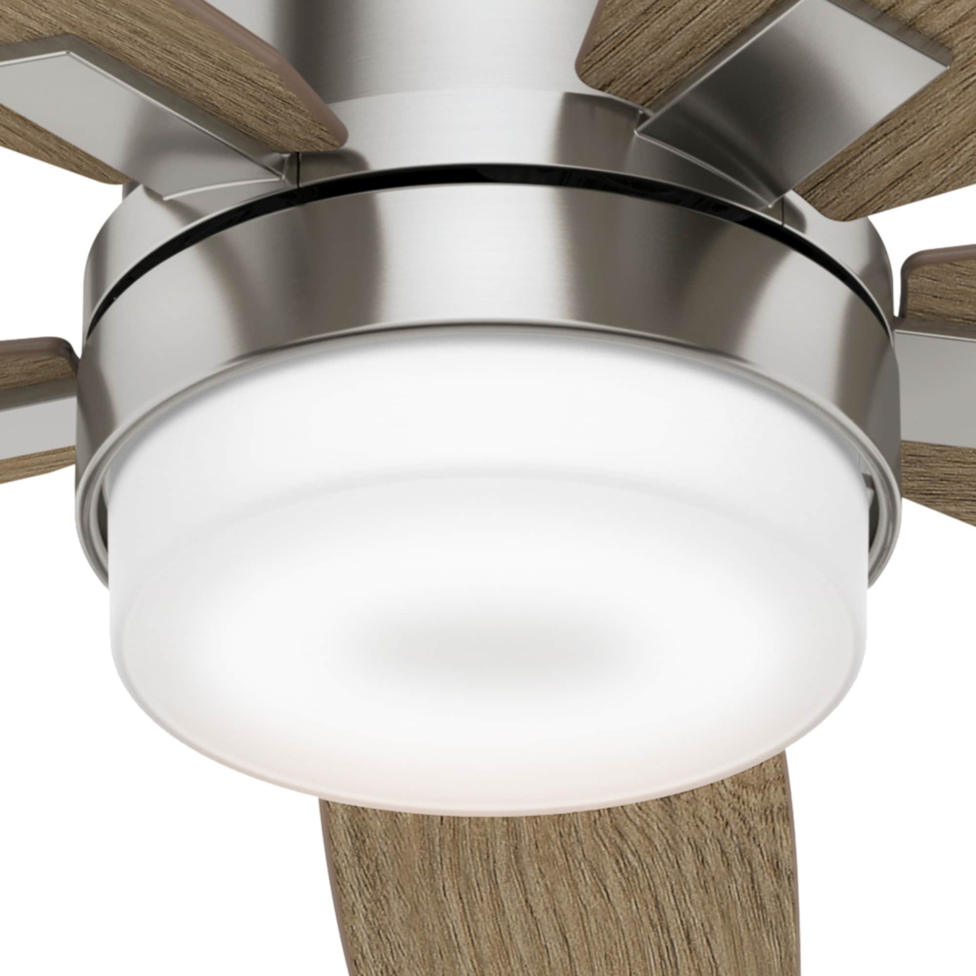 Hunter 59579 Ceiling-Fans - View #10