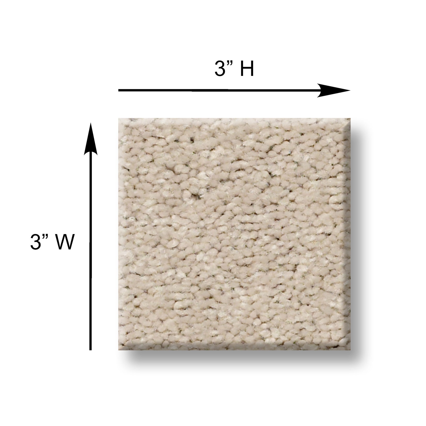 Style Selections 7L921-122-SAMP Carpet-Samples - View #5