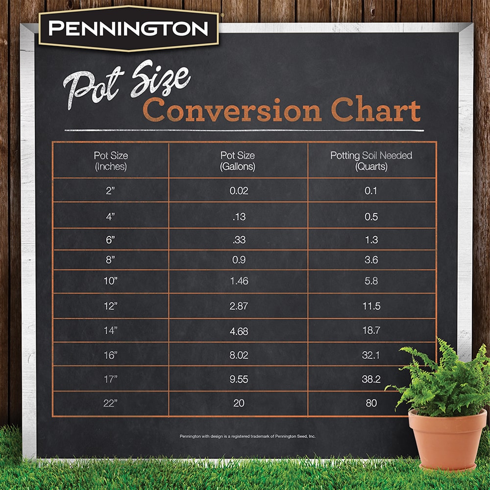 Pennington 2950120115 Planter-Window-Box - View #8