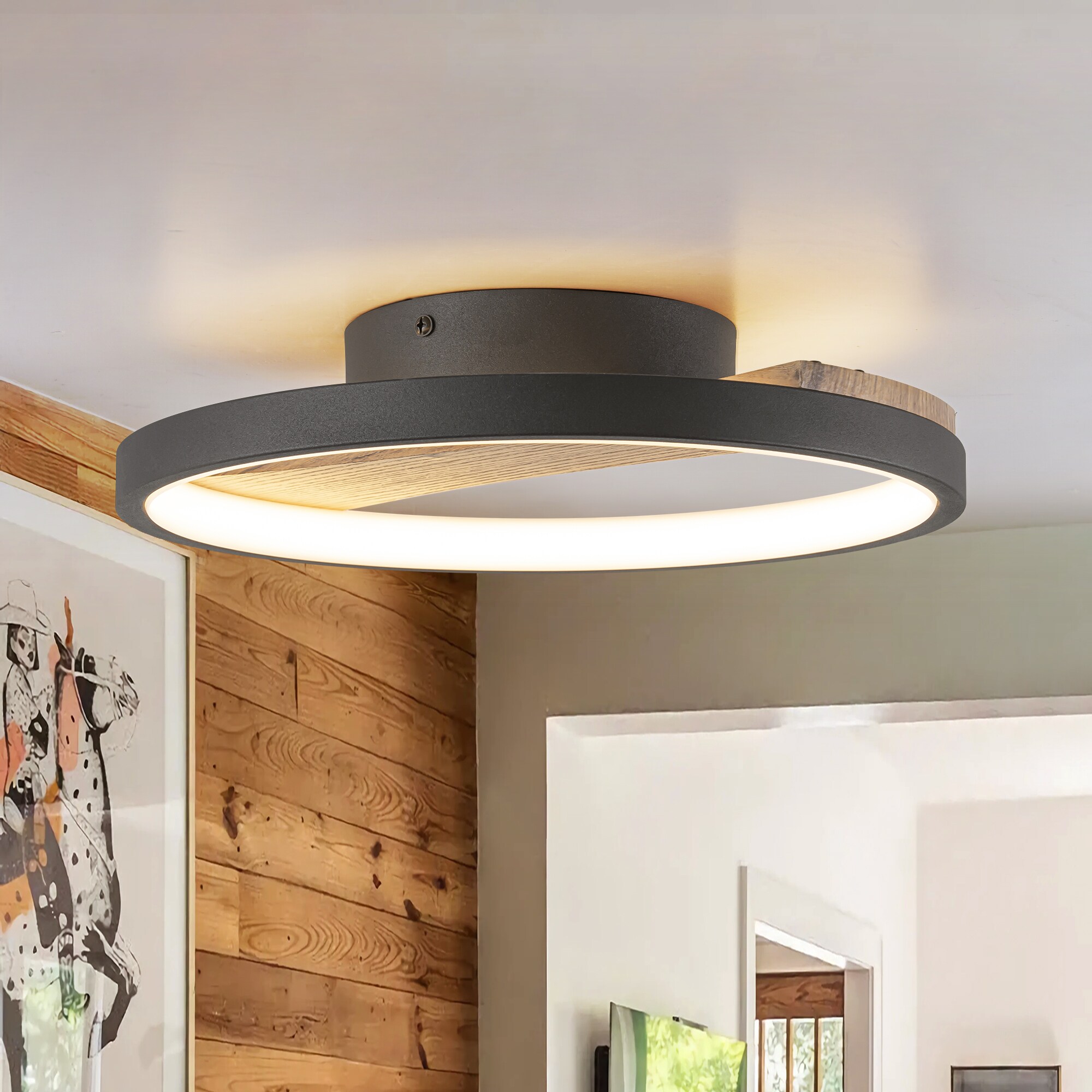 Rennnsan FL810153108 flushmounts - View #2