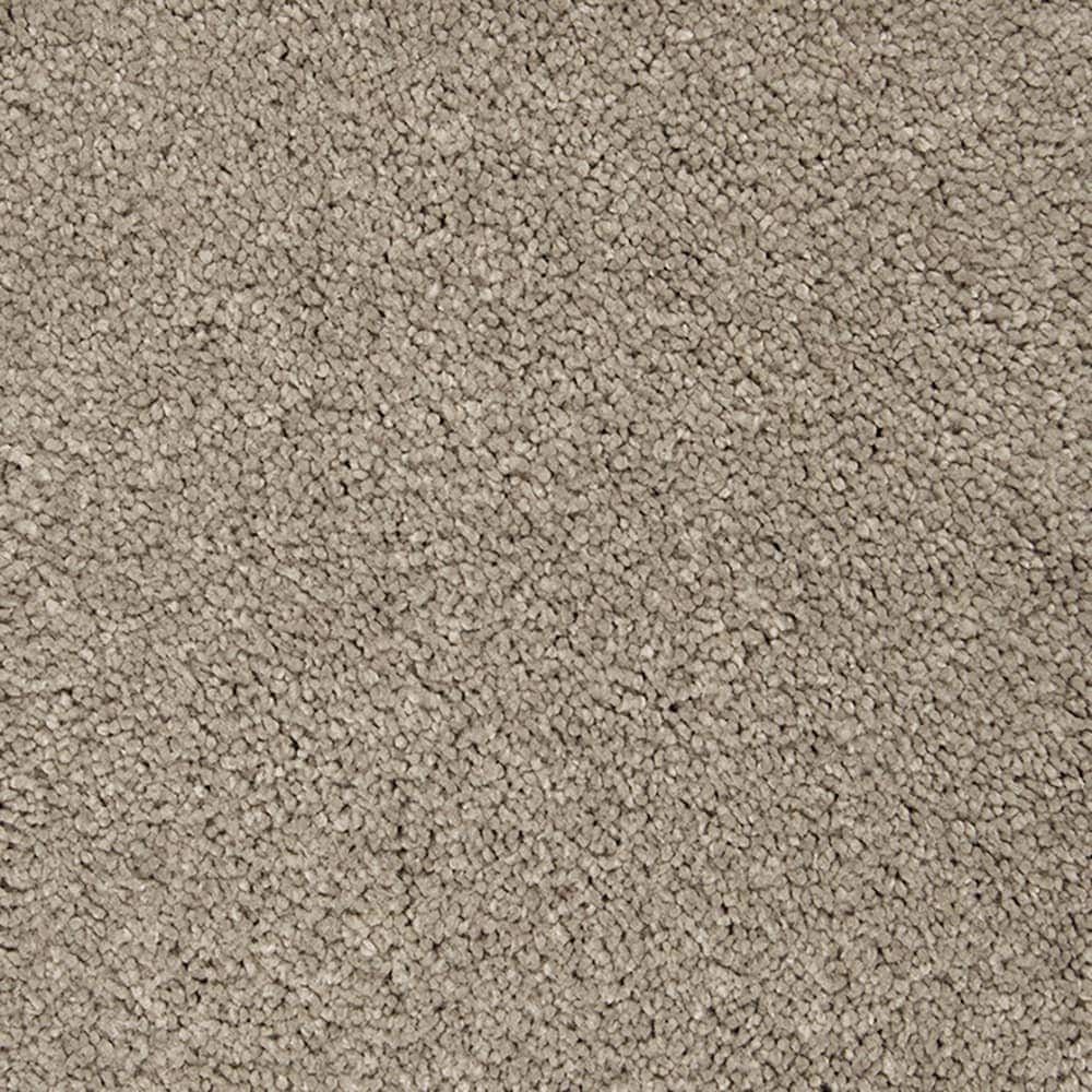 STAINMASTER PetProtect STP55-L008-0808 (Sample) Purrfectly Pampered Carved Stone Brown 60-oz sq yard Triexta Textured Indoor Carpet