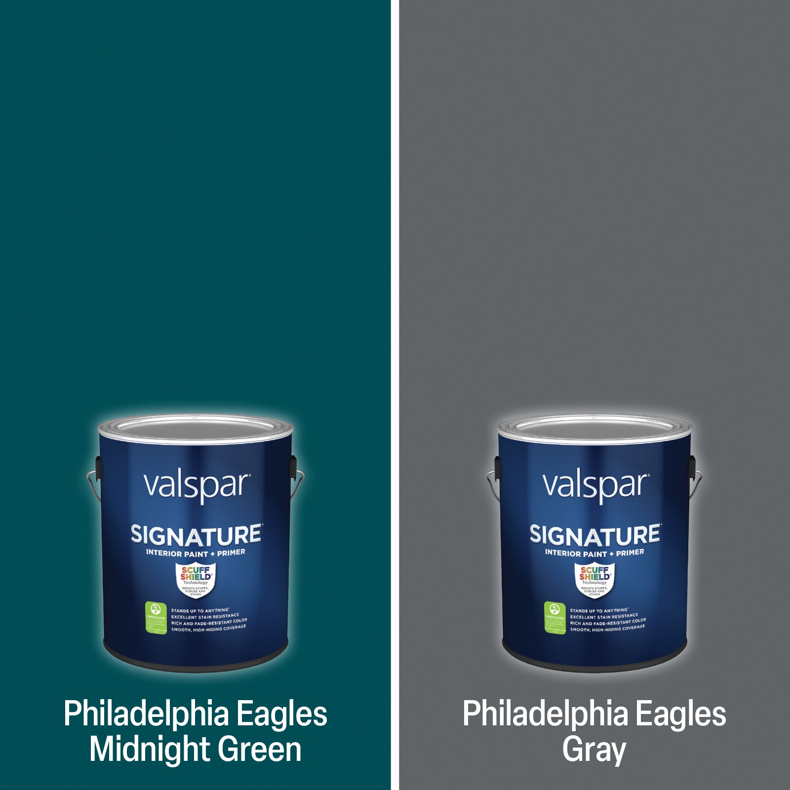philadelphia eagles paint colors