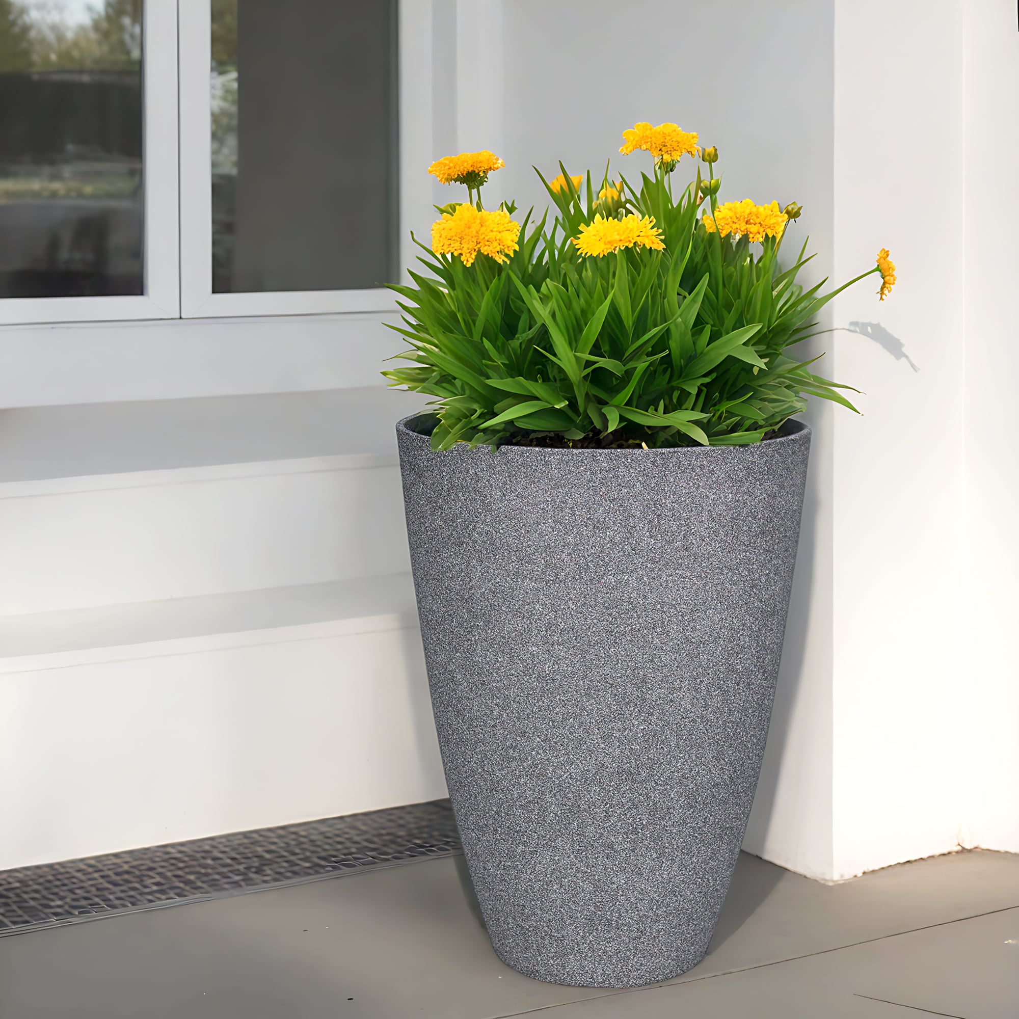 allen + roth PLC2016TCC Planter-Window-Box - View #7