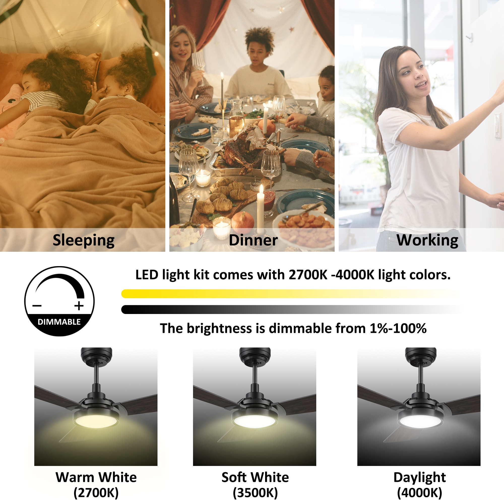 CARRO USA LS563B3-L22-B5-1 Ceiling-Fans - View #6