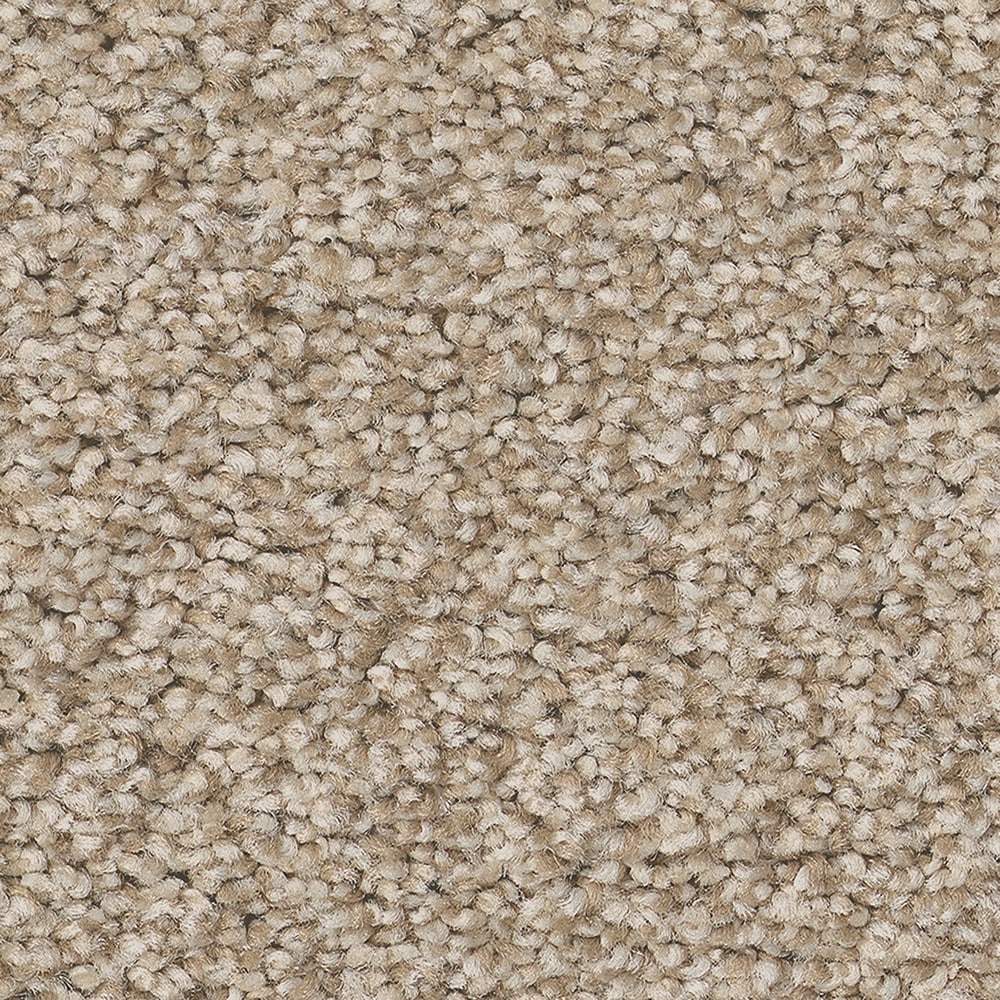 STAINMASTER 7L880 - 741 - SAMP (Sample) Ready 2 Play III Izzy Brown 73.1-oz sq yard Nylon Textured Indoor Carpet