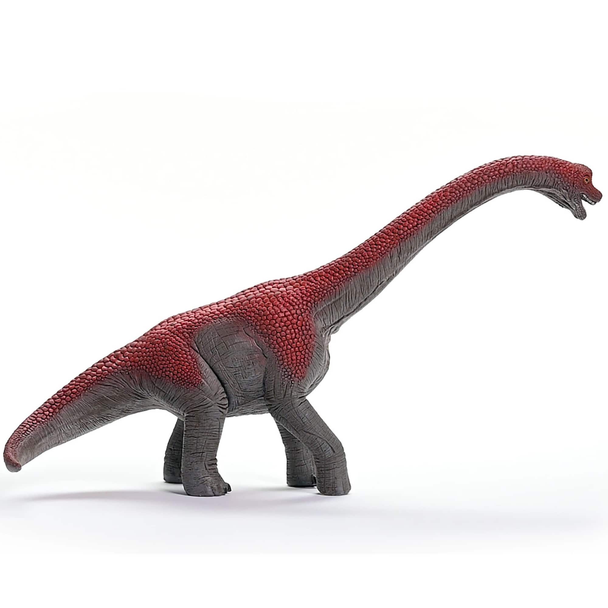 schleich G4059433732053 Play-Toys - View #5