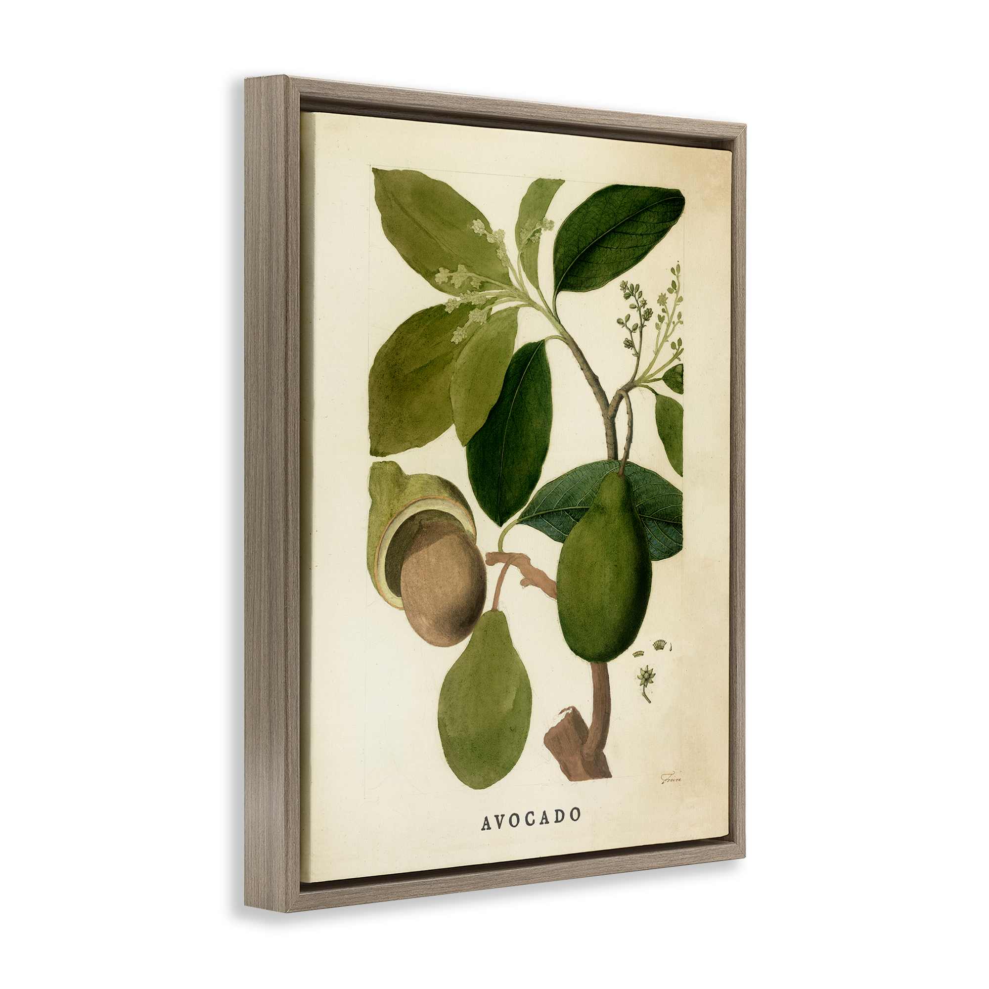 Stupell Industries BT-156-FFE-24X30 Wall-Art - View #2