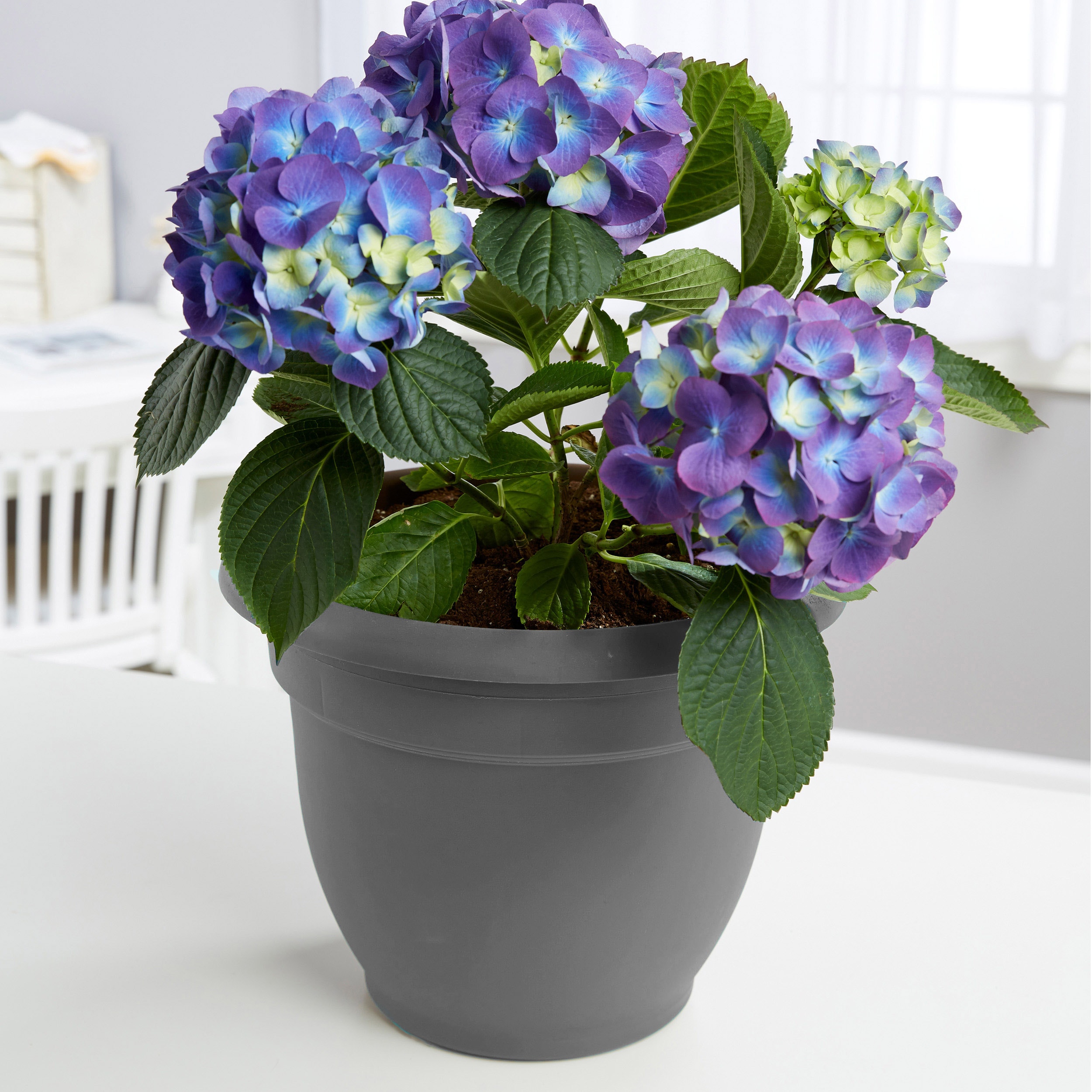 Bloem AP16908 Planter-Window-Box - View #2