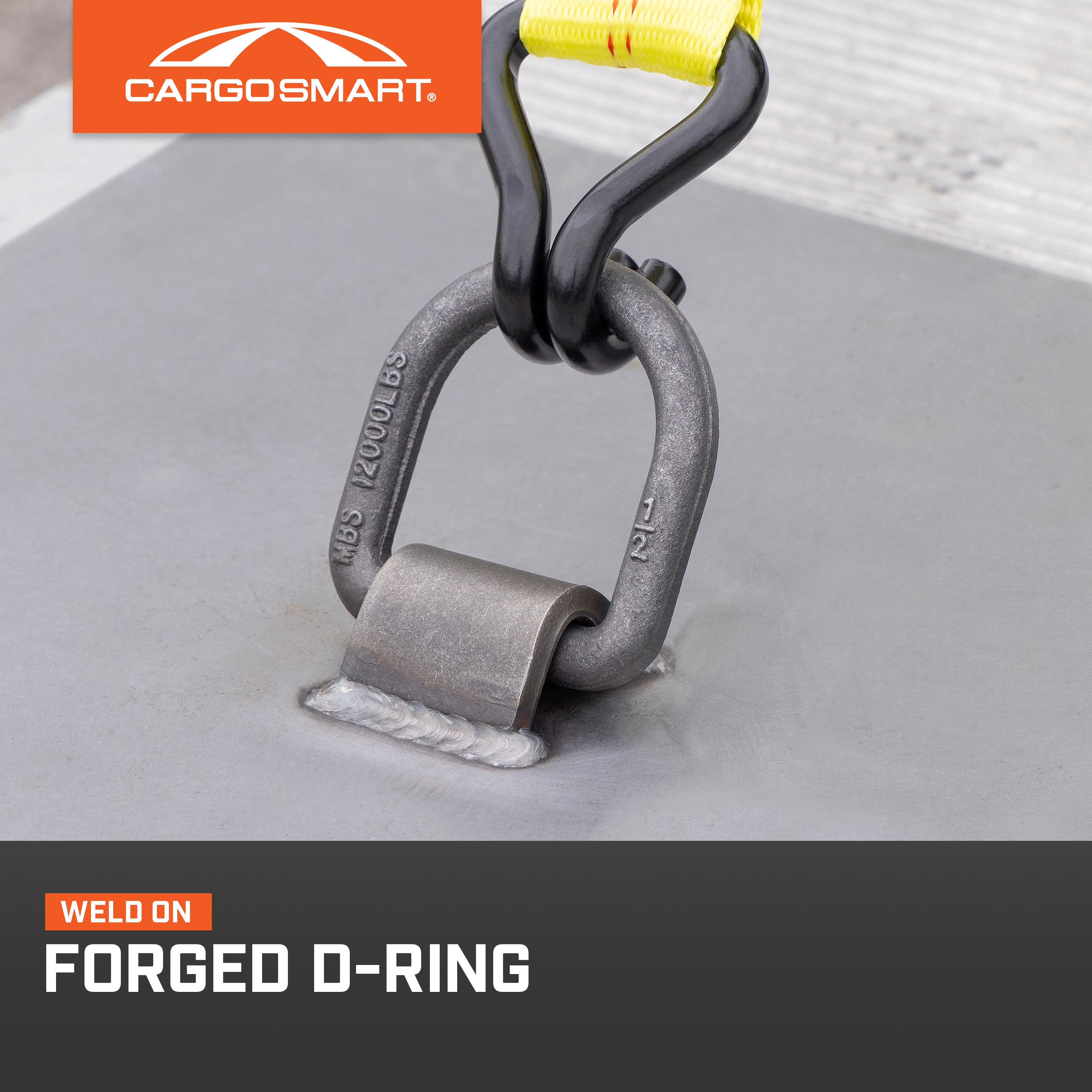 CargoSmart 9010 Pins-Clips - View #3