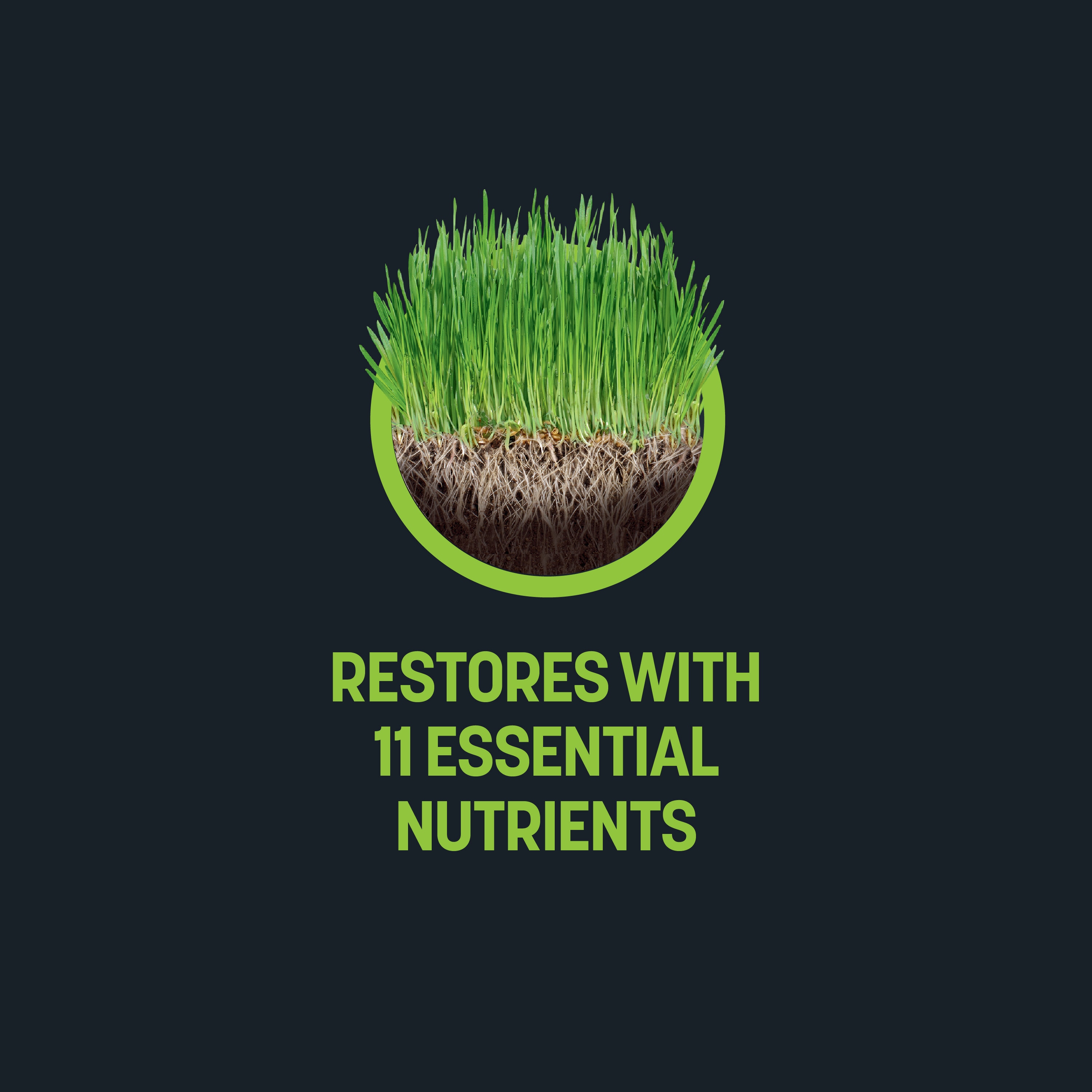 Sta-Green 904746 Lawn-Fertilizer - View #6