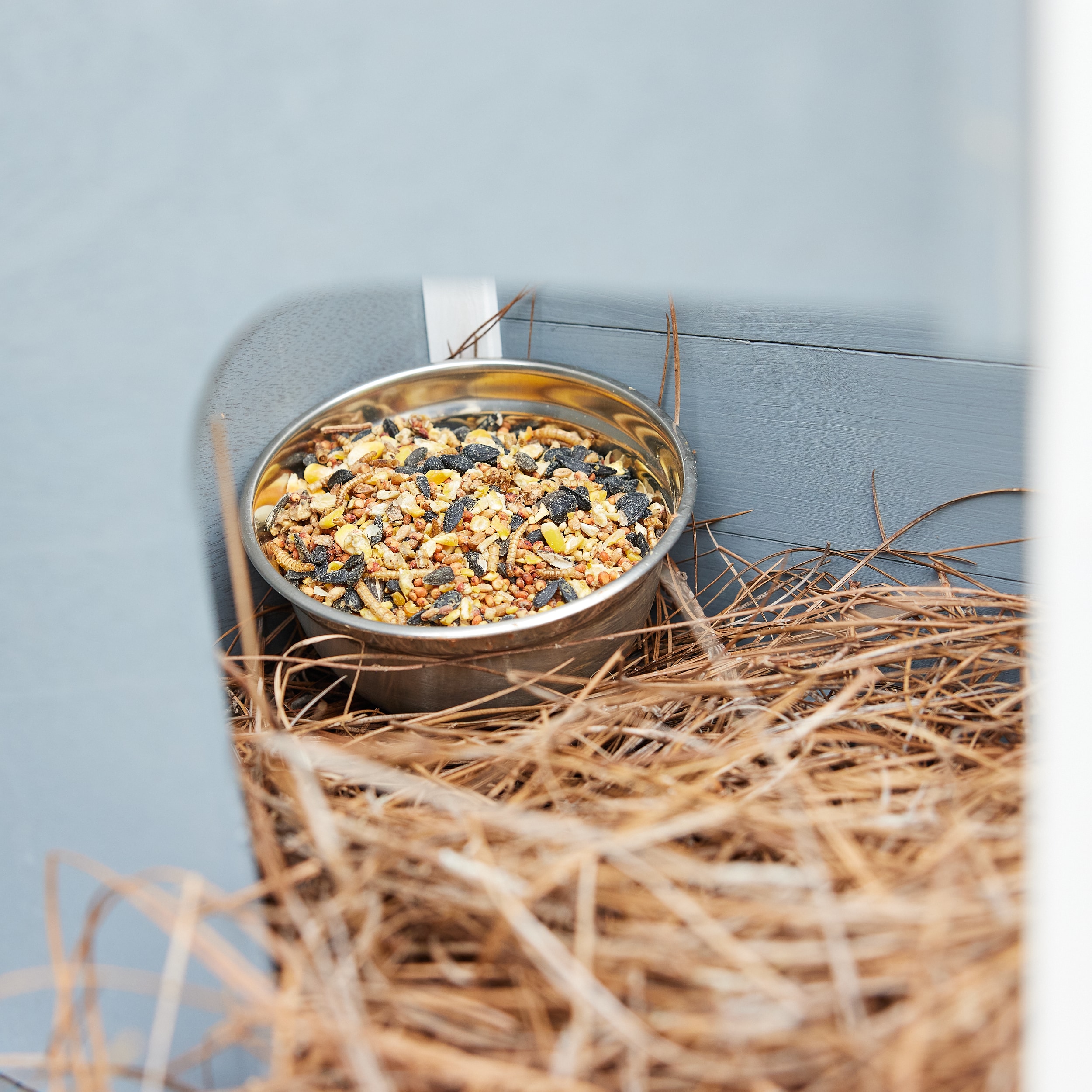 Pecking Order 009549 Poultry-Feed - View #7