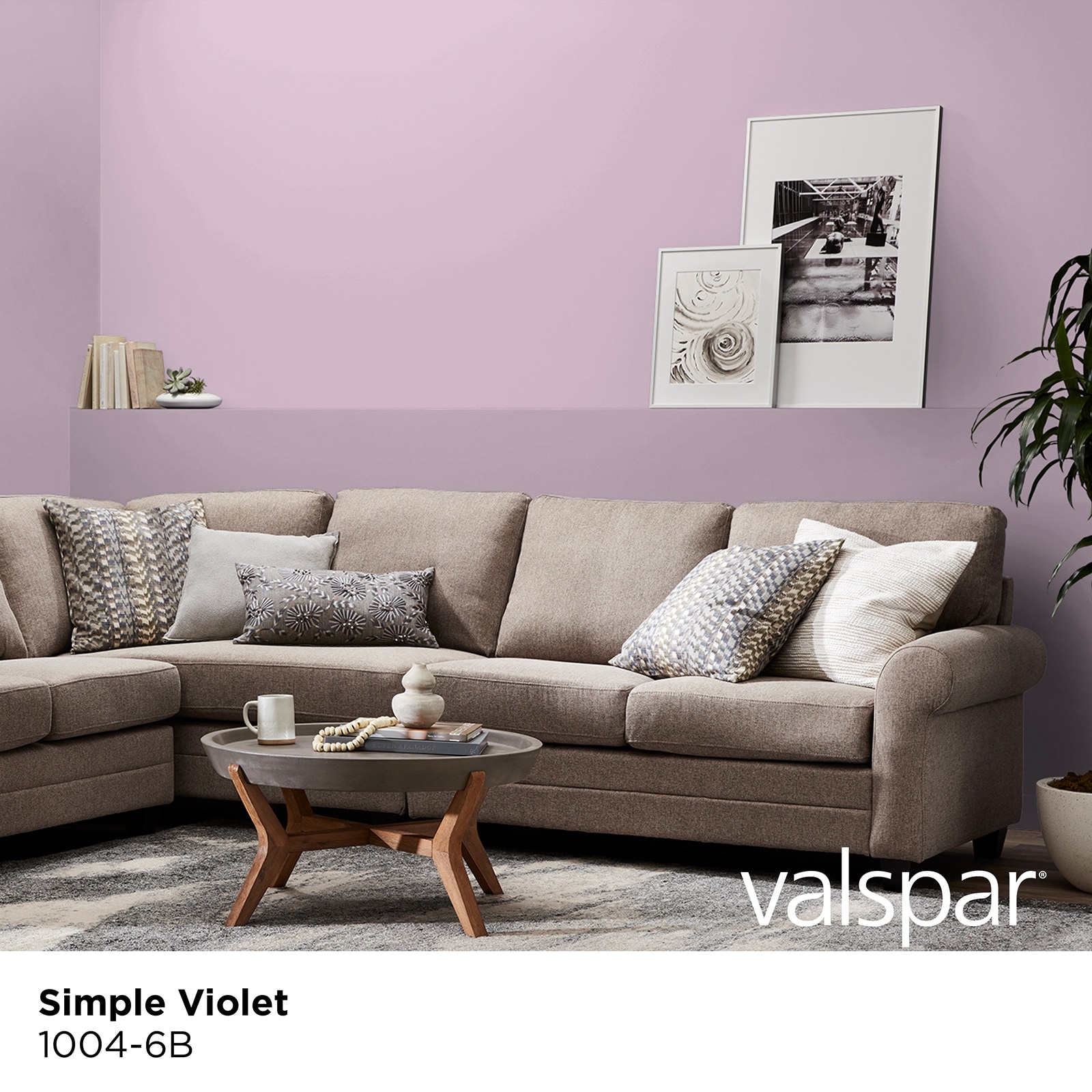 Valspar 92-19B Violet Dust Precisely Matched For Paint and Spray Paint