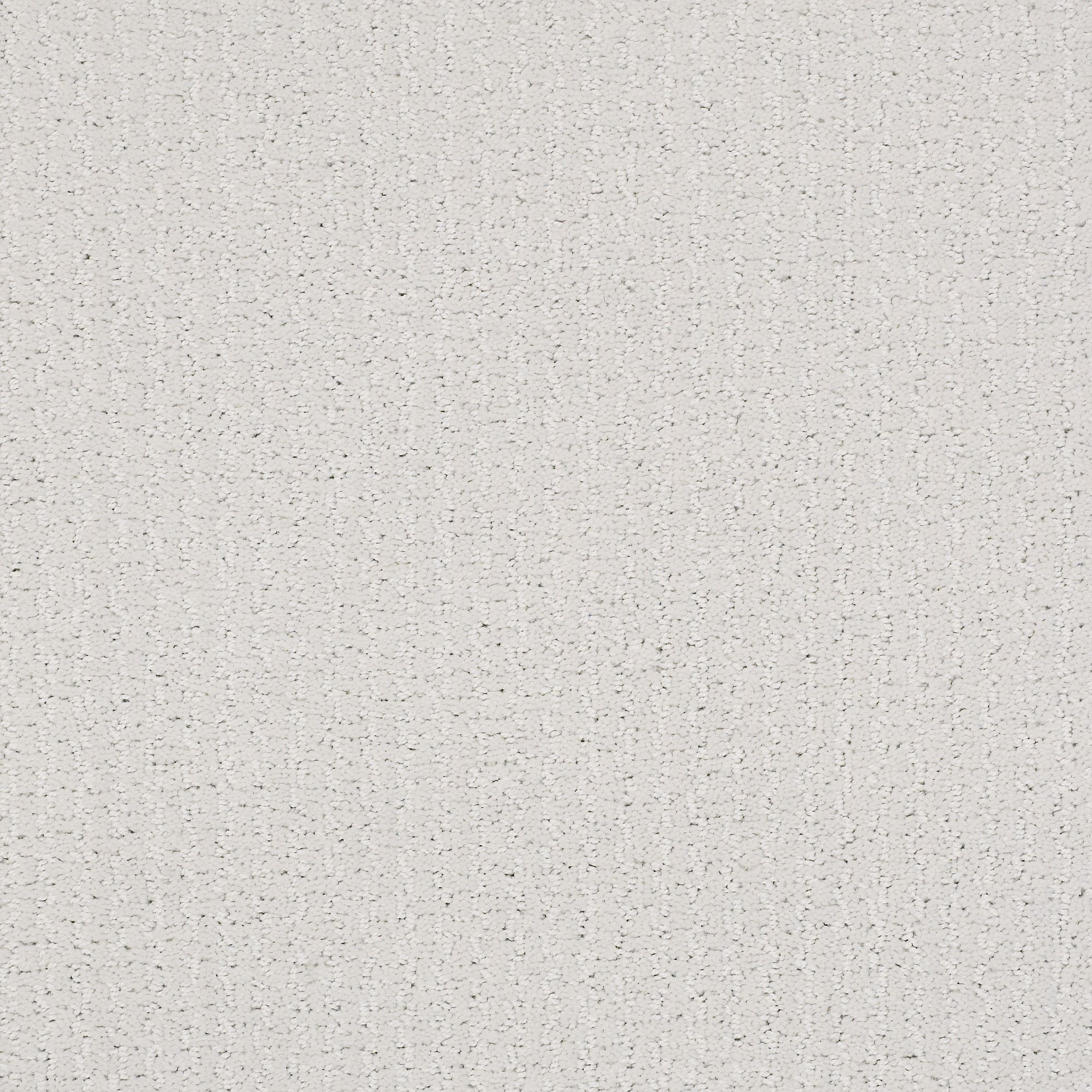 STAINMASTER PetProtect 7L85400141 Summer Nights Porcelain Off-white 39-oz sq yard Nylon Pattern Indoor Carpet