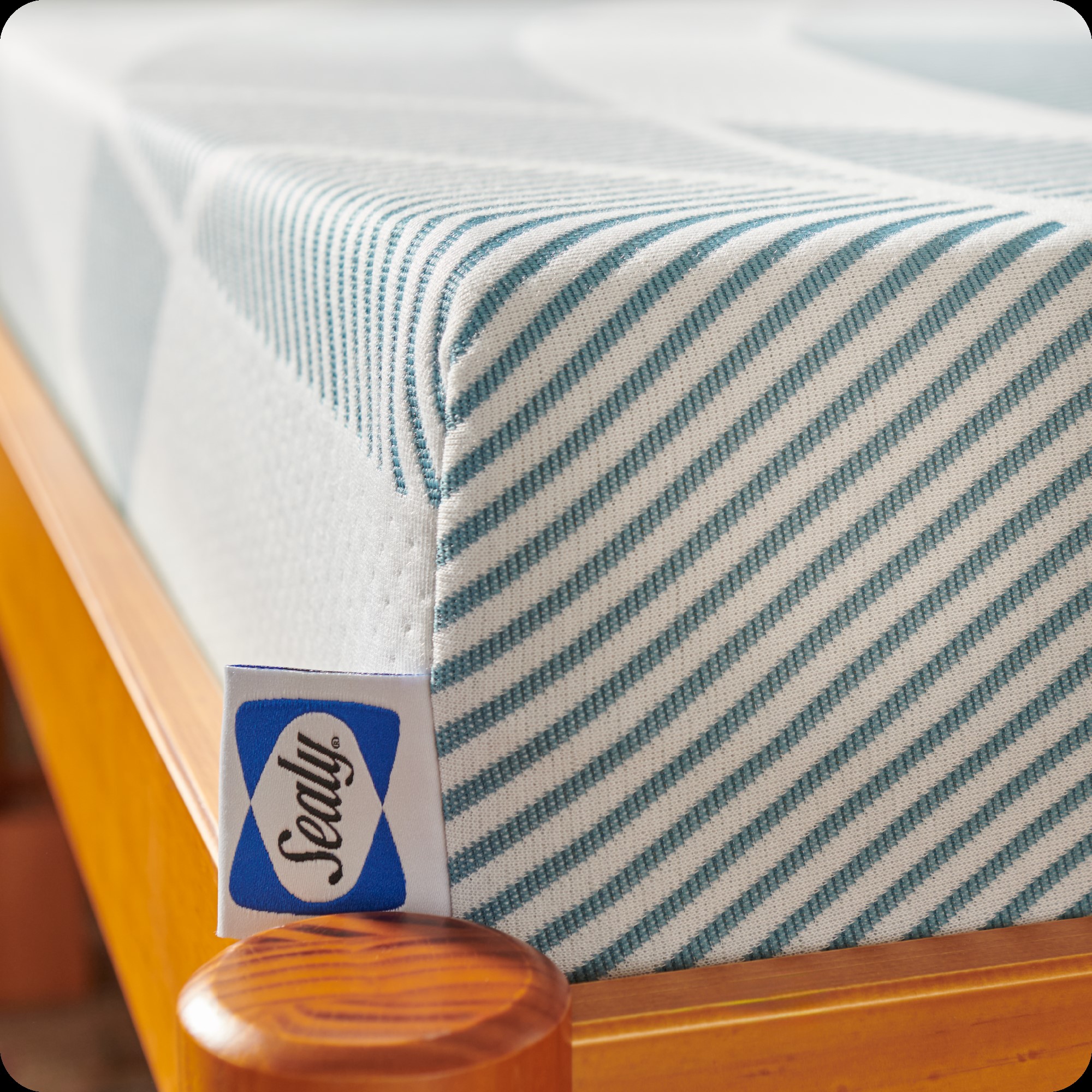Sealy F03-00242-TX0 Mattresses-Boxsprings - View #8