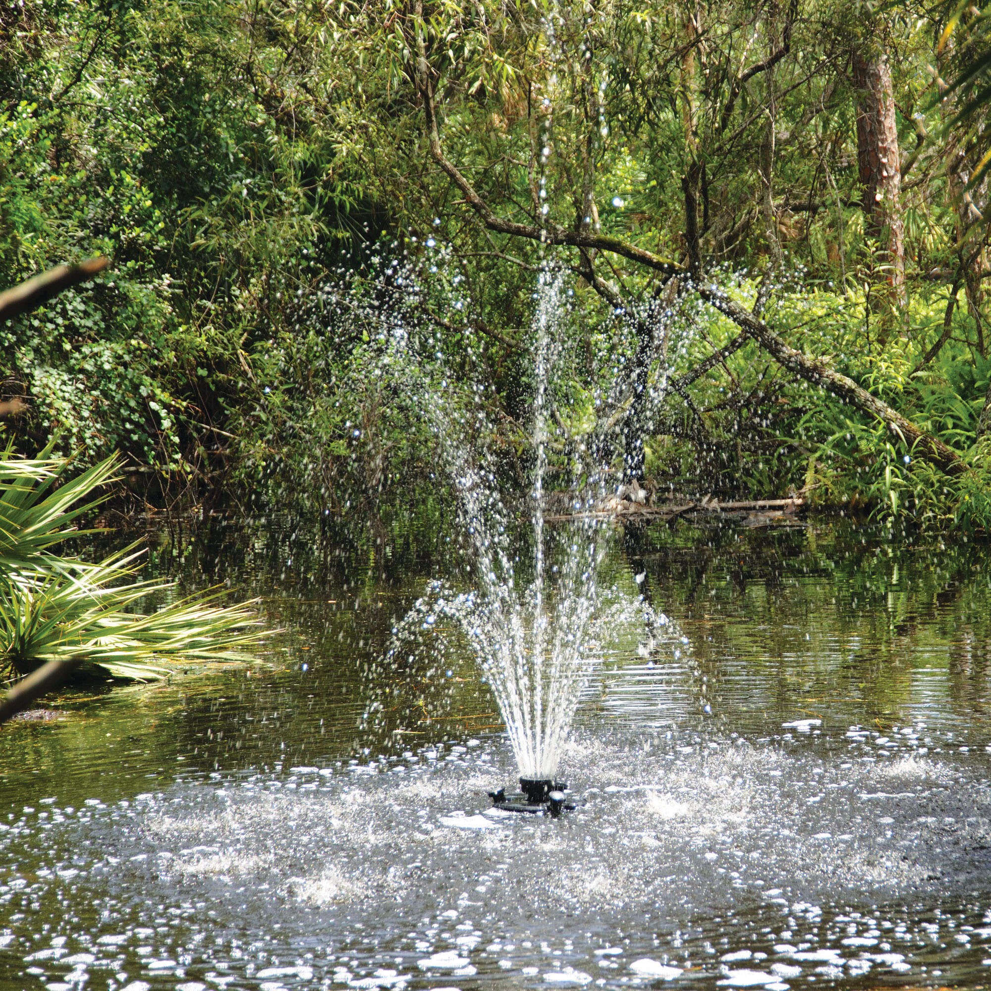 Pond fountain outlet store near me