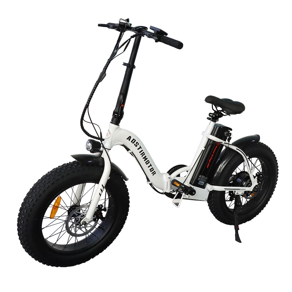 Damerin LMT79 20-in Adult unisex E-bike