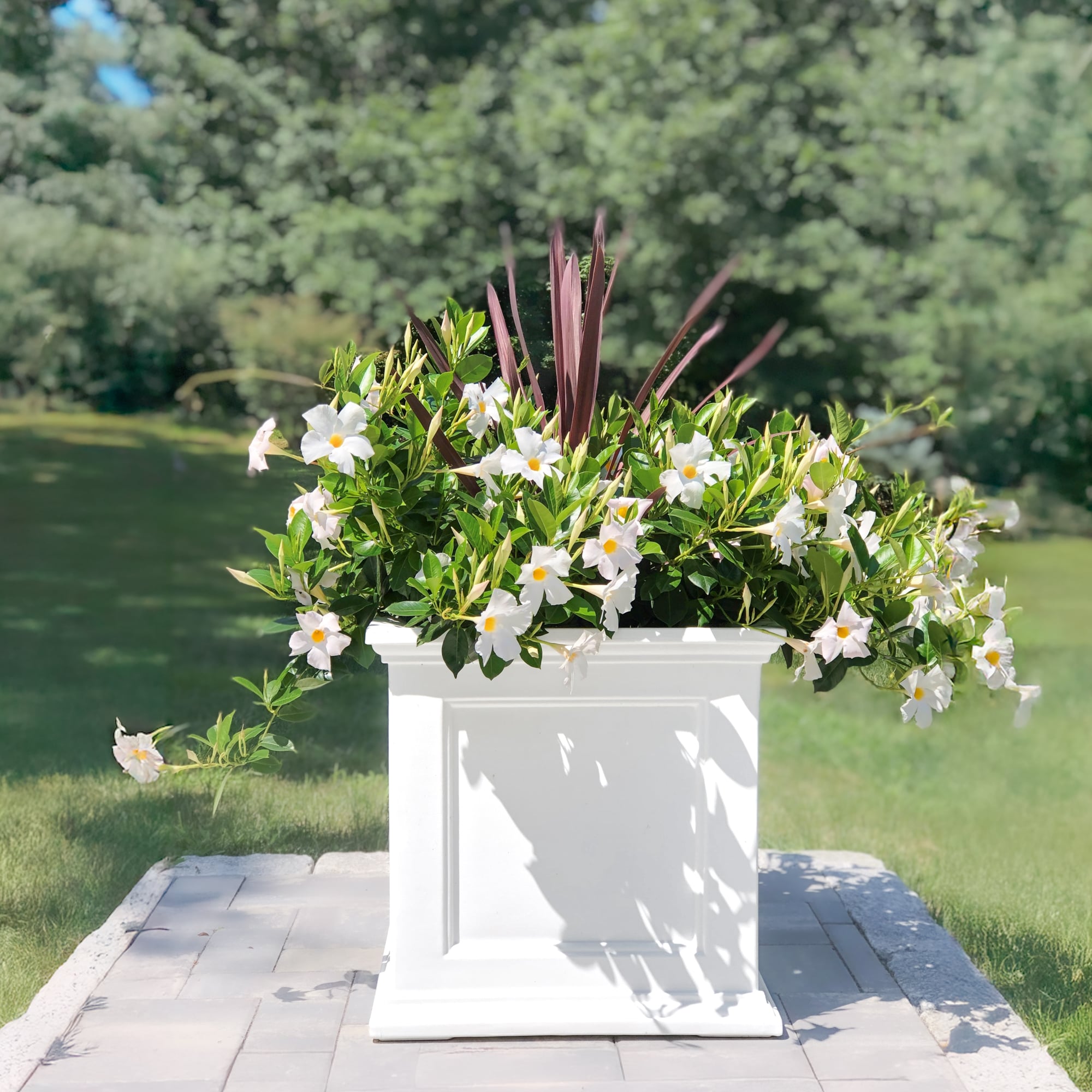 Mayne 5825-W Planter-Window-Box - View #16