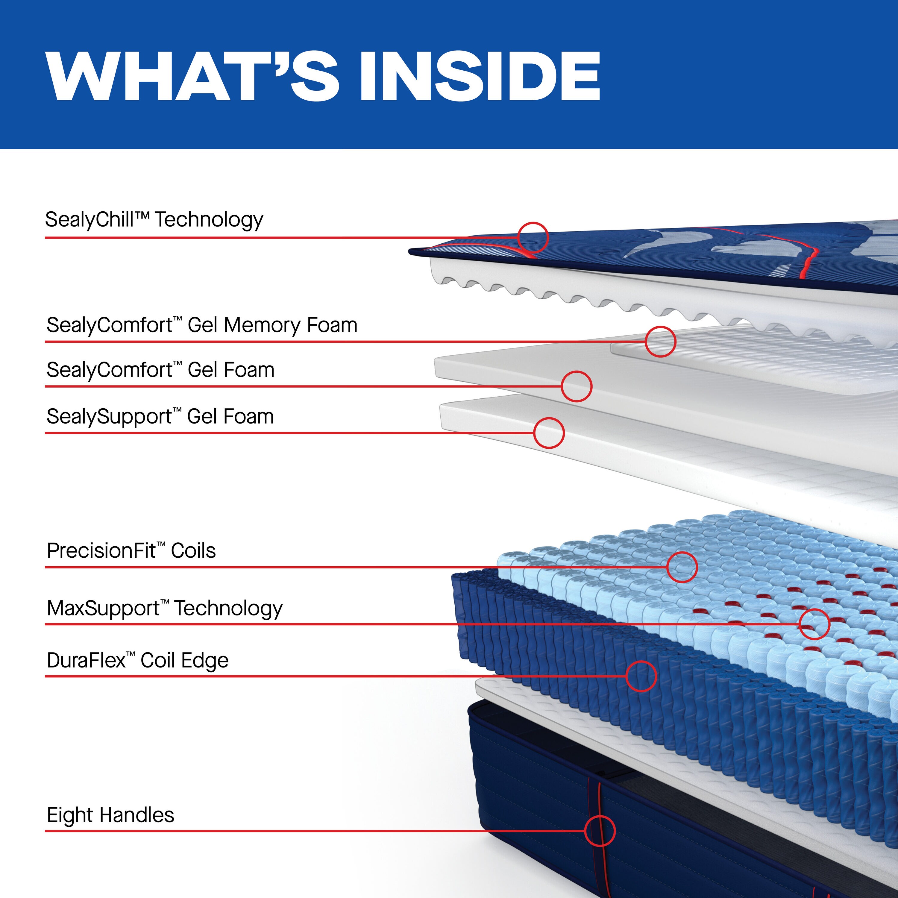 Sealy 53200032 Mattresses-Boxsprings - View #4
