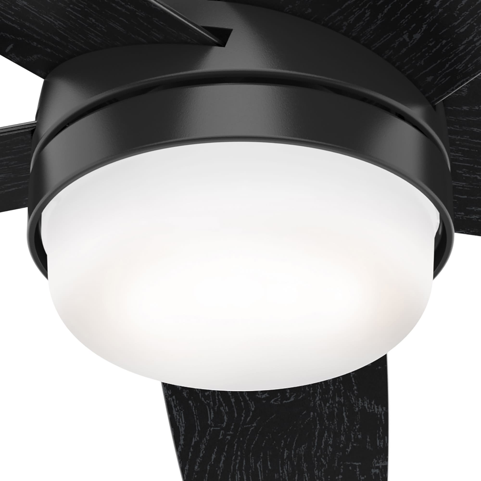 Hunter 51350 Ceiling-Fans - View #18