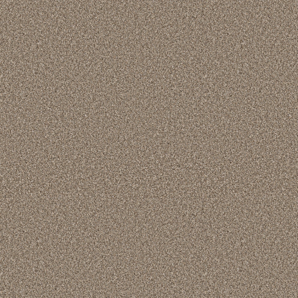 STAINMASTER 7L956-704-SAMP (Sample) 8-in x 8-in Animated II Rodeo Tan 63.4-oz sq yard Solution-dyed polyester Textured Indoor Carpet