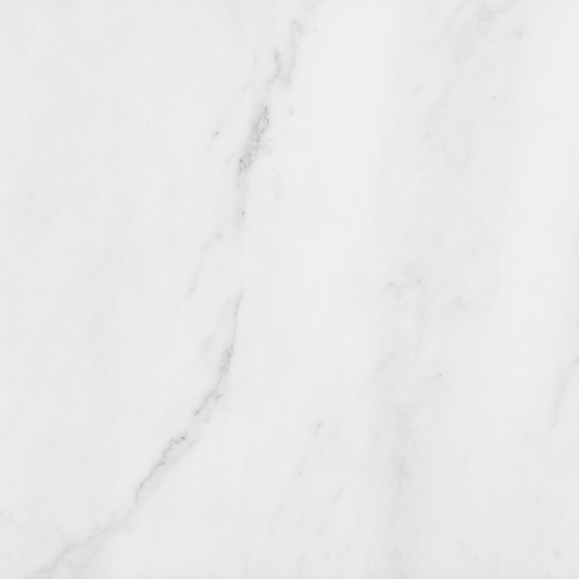 Anatolia 5000-0037-0 Bianco Venatino 12-in x 12-in Honed Natural Stone Marble Look Floor and Wall Tile (10-sq. ft/ Carton)