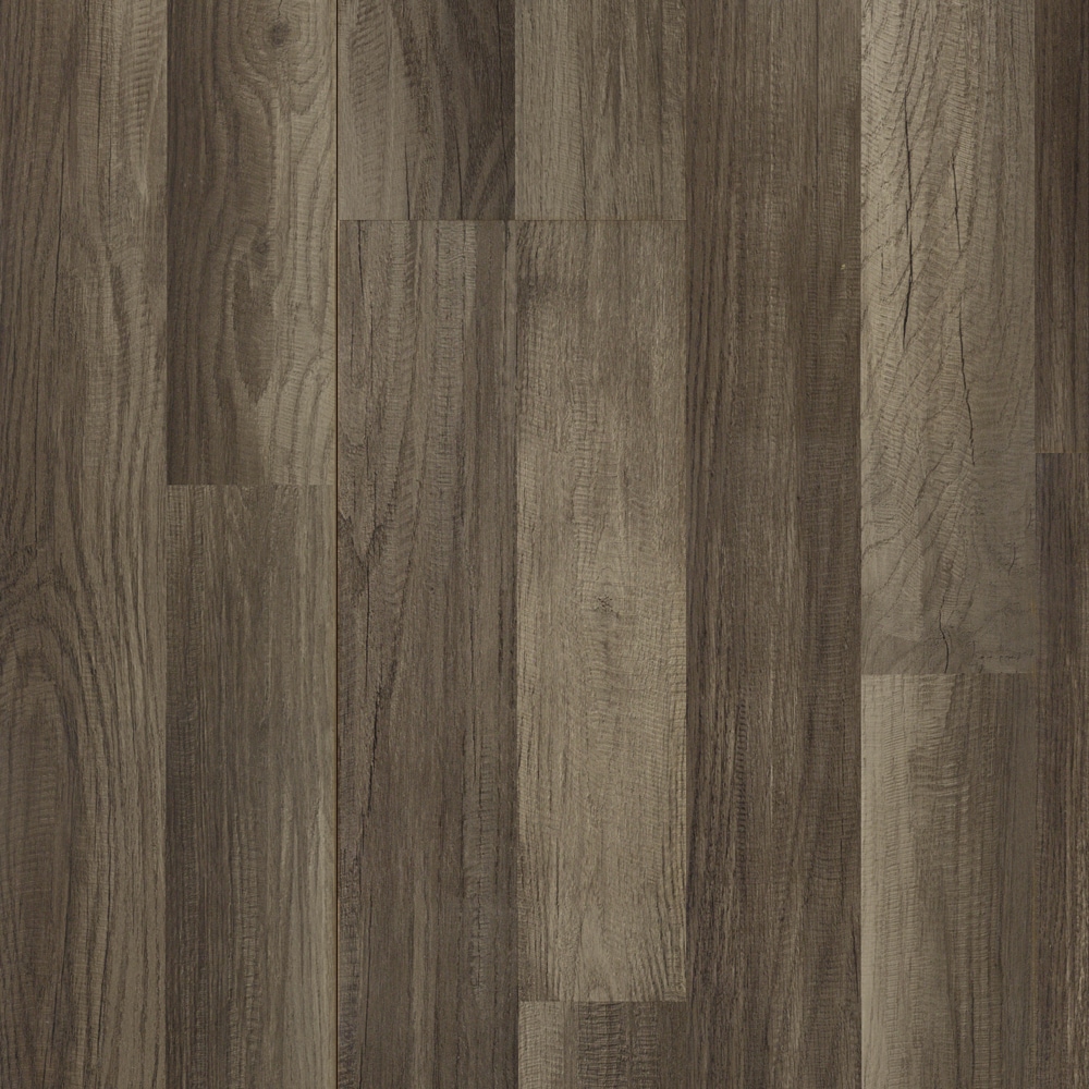 Aged Gray Oak 8-mm T x 7-in W x 50-in L Wood Plank Laminate Flooring (21.44-sq ft) | - Style Selections L301