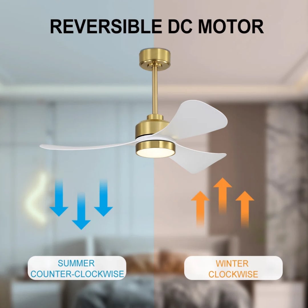 MLIAN WBCF-BS167-GH Ceiling-Fans - View #6