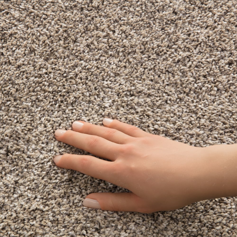 STAINMASTER PetProtect 7L96500700 Carpet-Panel - View #3