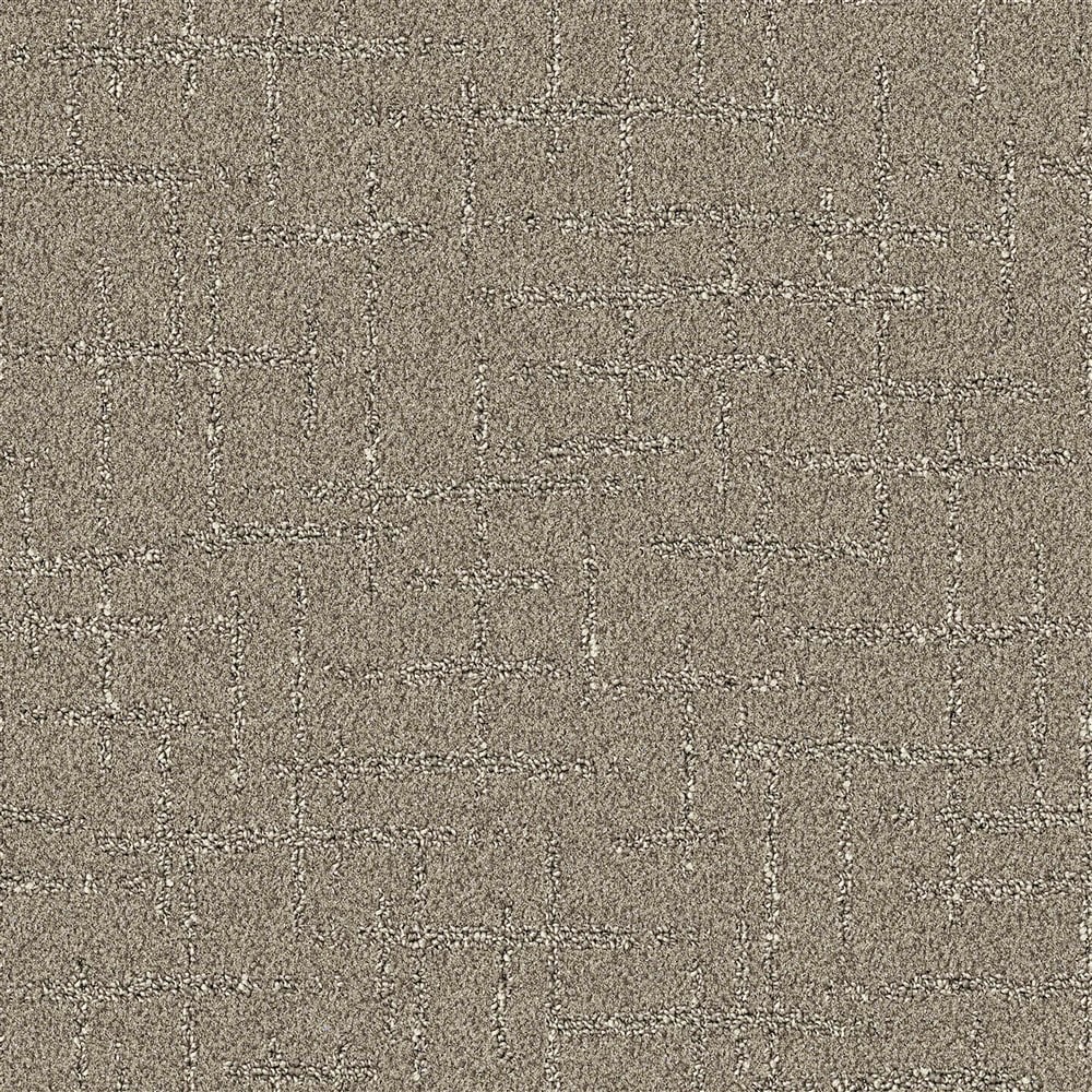 STAINMASTER PetProtect LU771-9513C (Sample) Animal Kingdom Quiet Nature Brown 35-oz sq yard Nylon Pattern Indoor Carpet