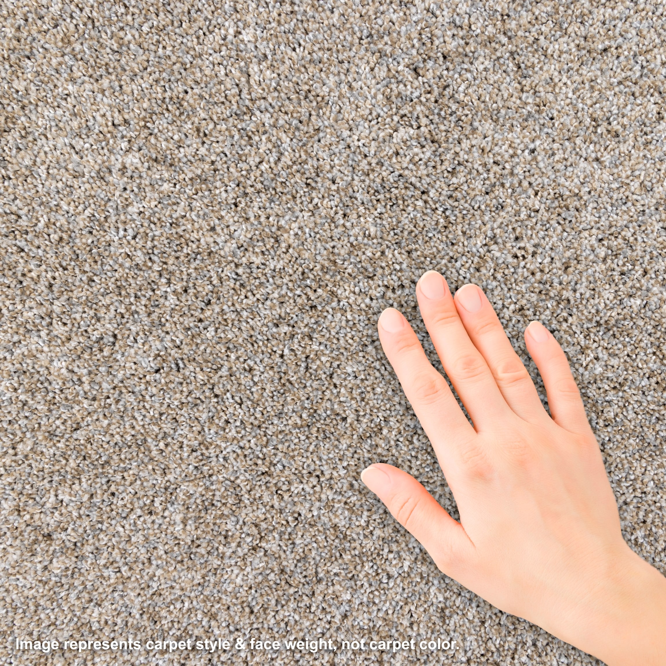 STAINMASTER L3001-106-1200-AB Carpet-Panel - View #3