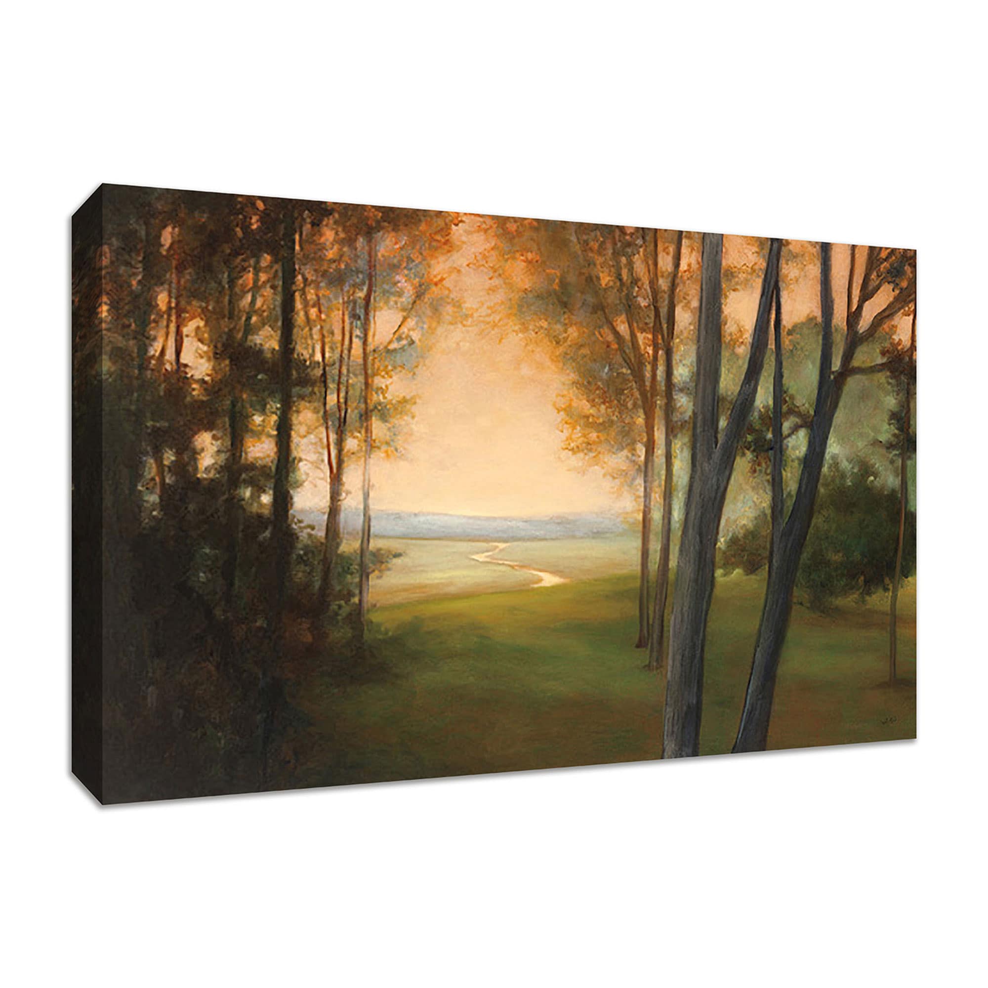 Tangletown Fine Art 24-in H x 36-in W Landscape Print on Canvas in the ...